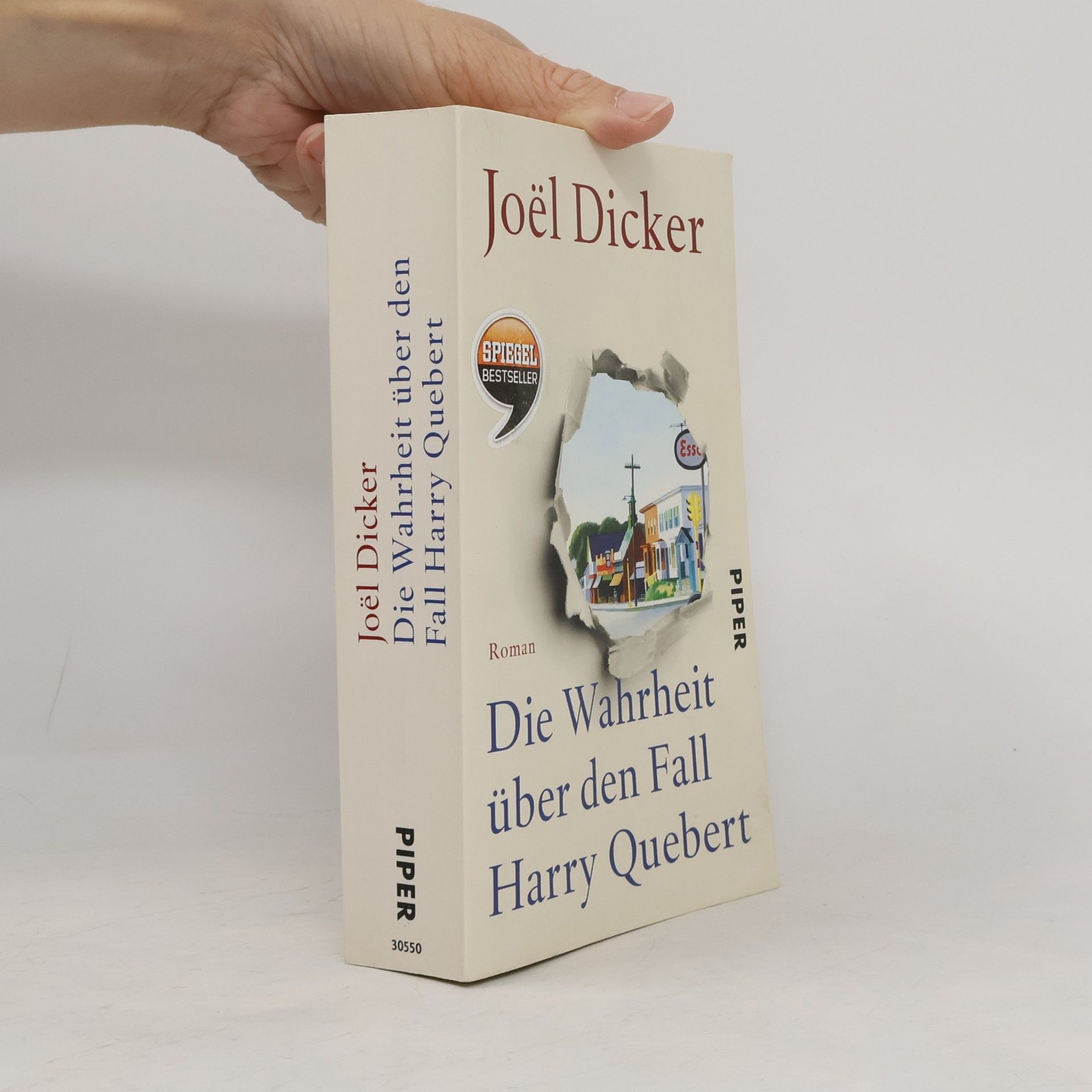 Die Wahrheit über den Fall Harry Quebert