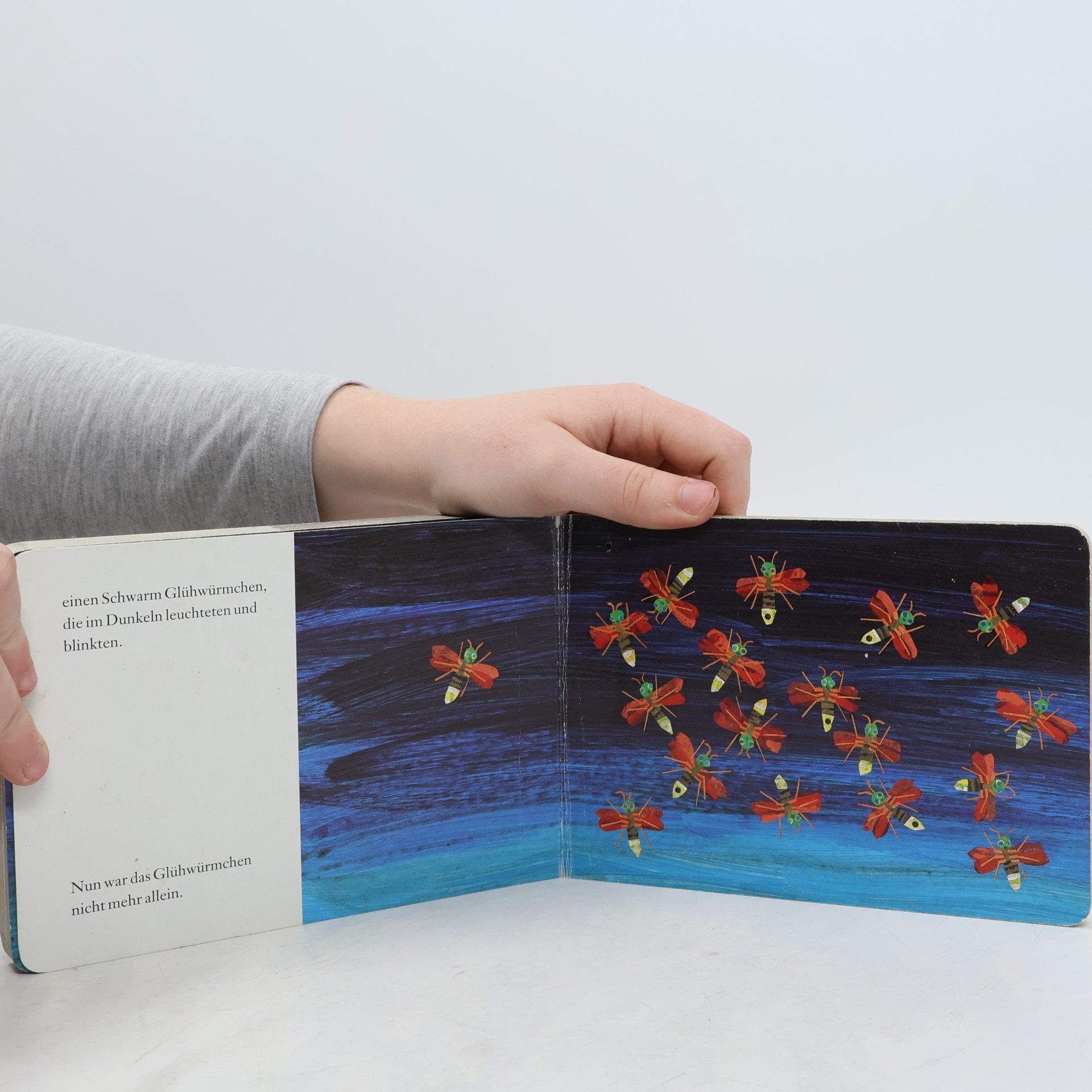 Eric Carle Das kleine Glühwürmchen