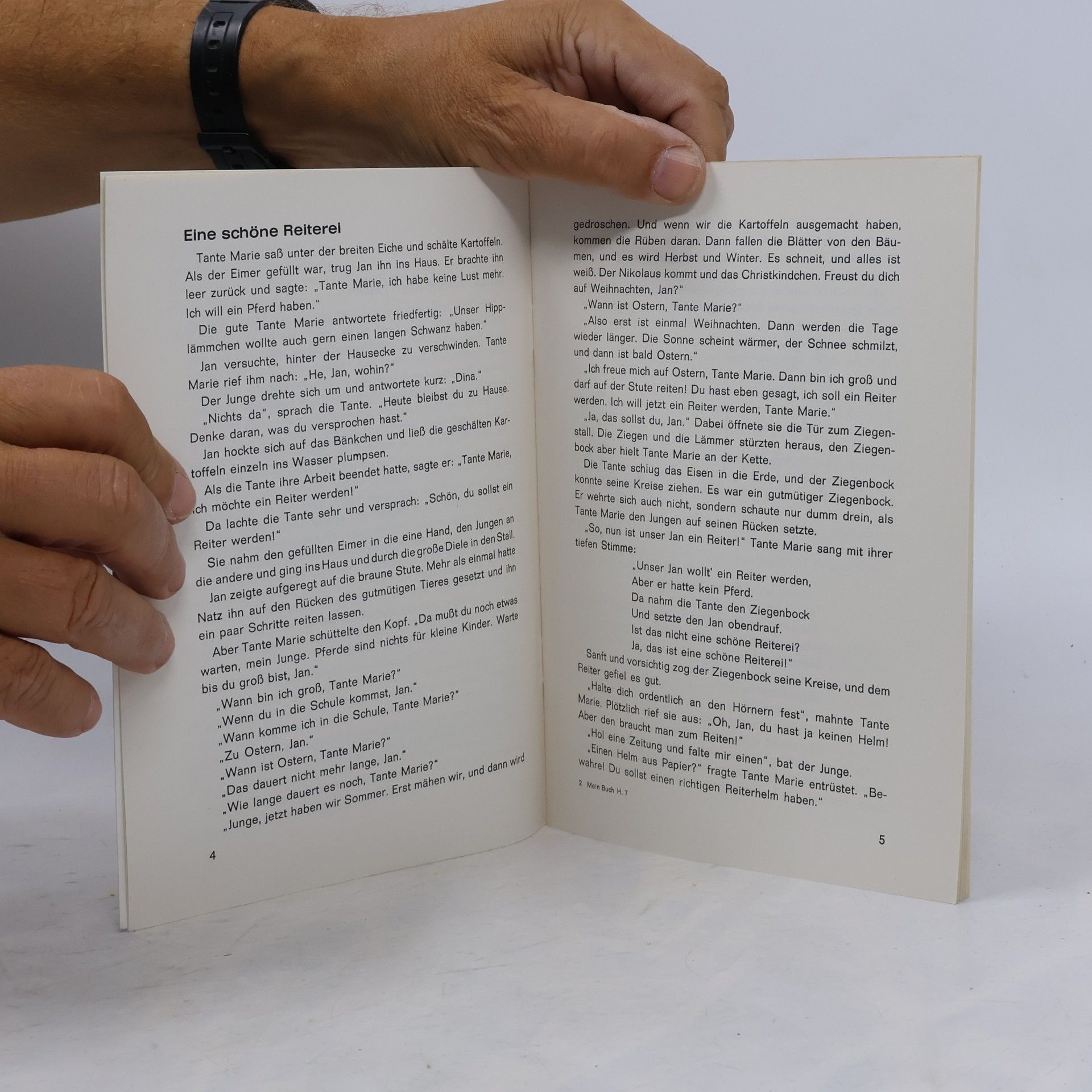 Heinrich Maria Denneborg Mein Buch-Meine Welt - 3: Jan und das Wildpferd