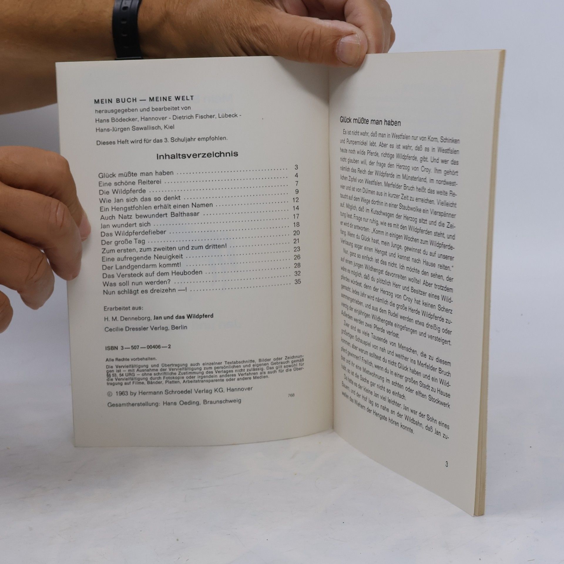 Heinrich Maria Denneborg Mein Buch-Meine Welt - 3: Jan und das Wildpferd