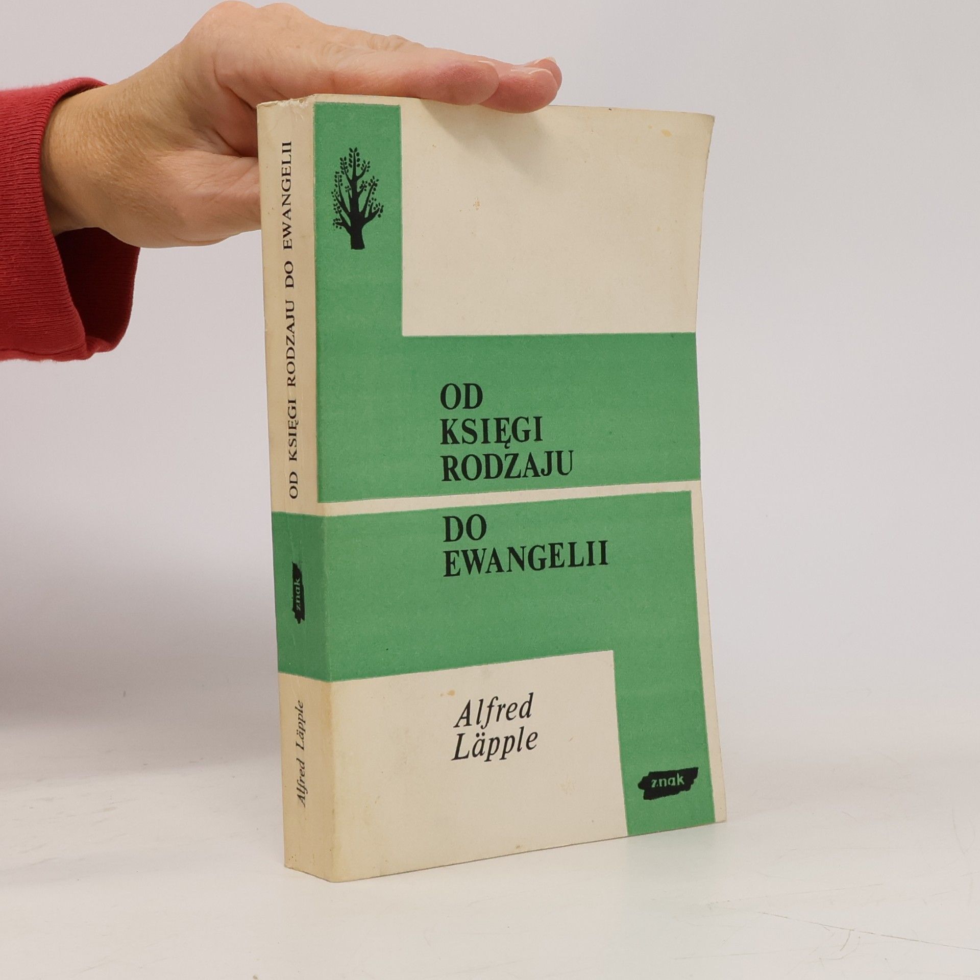 Alfred Läpple Od Księgi Rodzaju Do Ewangelii