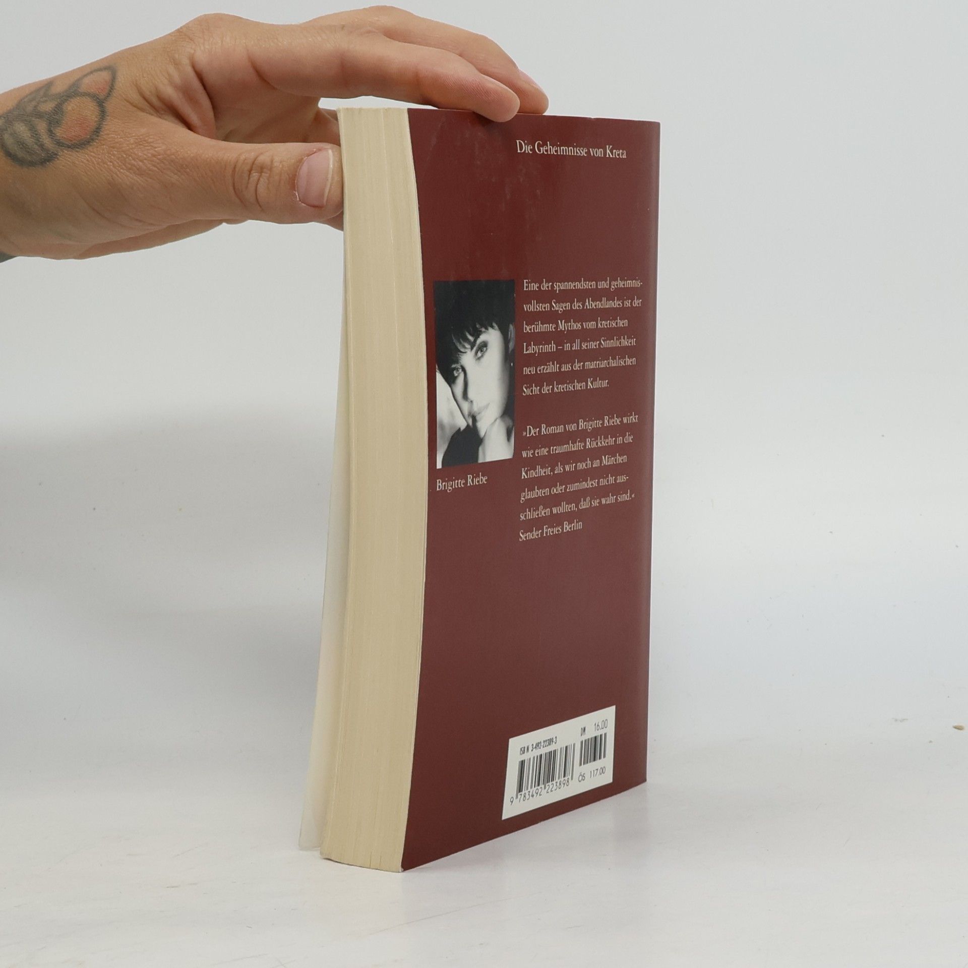 Brigitte Riebe Palast der blauen Delphine