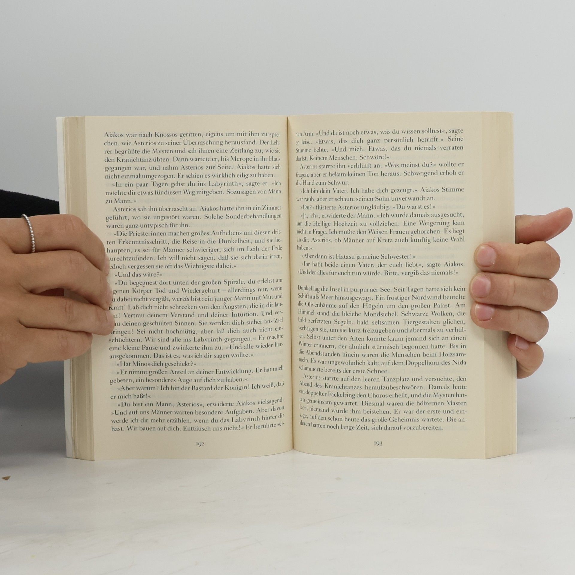 Brigitte Riebe Palast der blauen Delphine