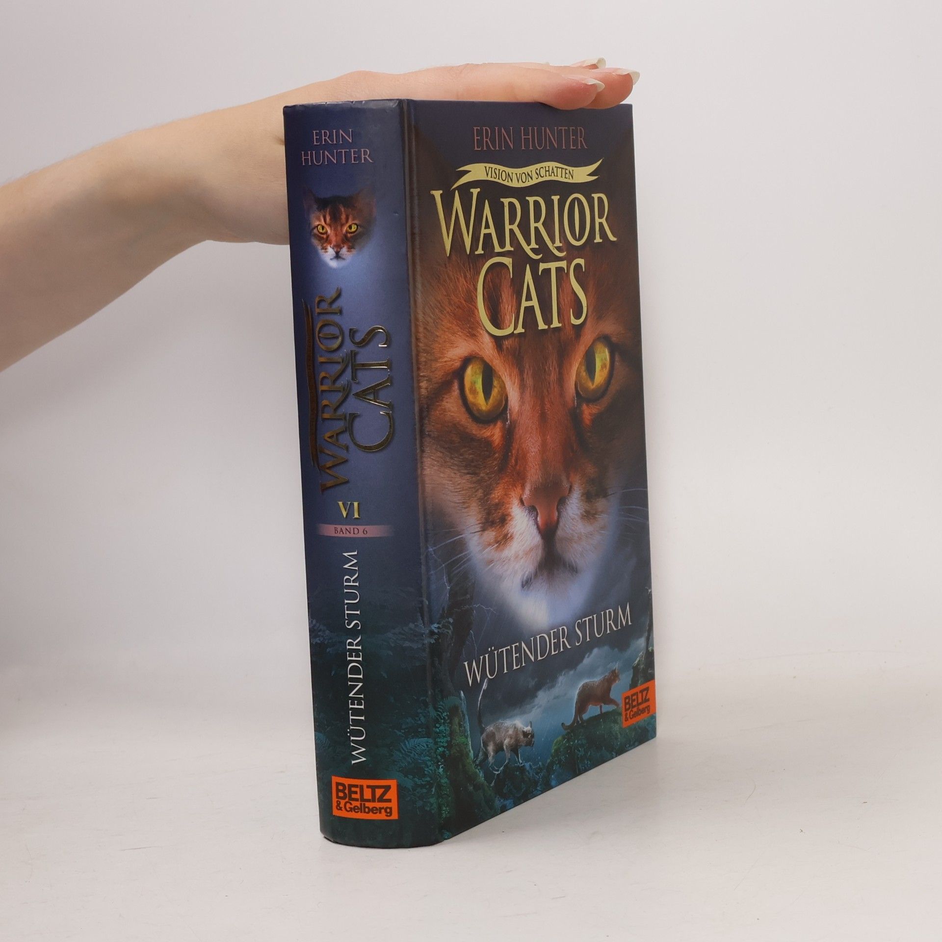 Erin Hunter Wütender Sturm
