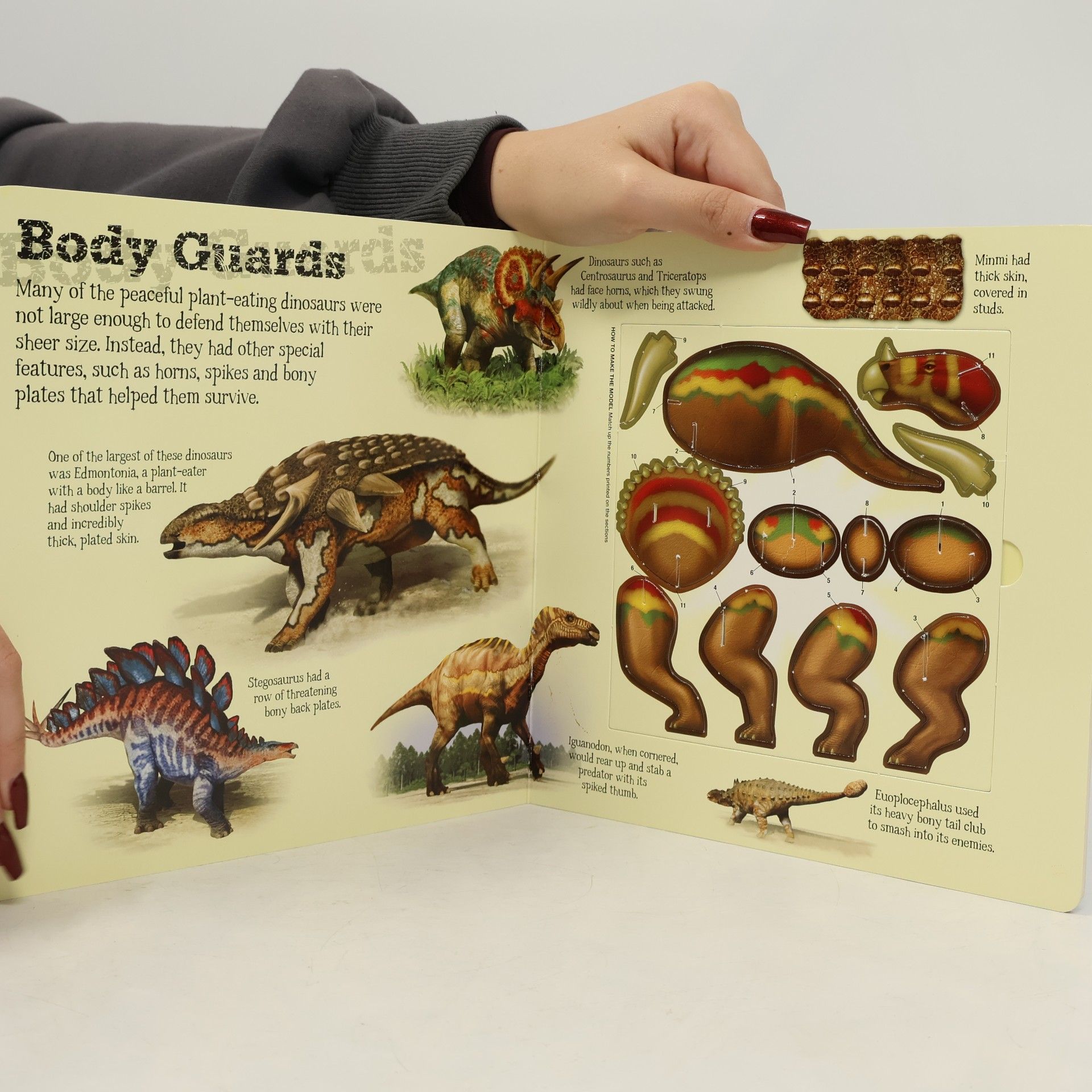 Claire Bampton Build a Dinosaur: Learn All About These Prehistoric Giants - Includes 4 Easy to Make Models No Glue or Cutting Required