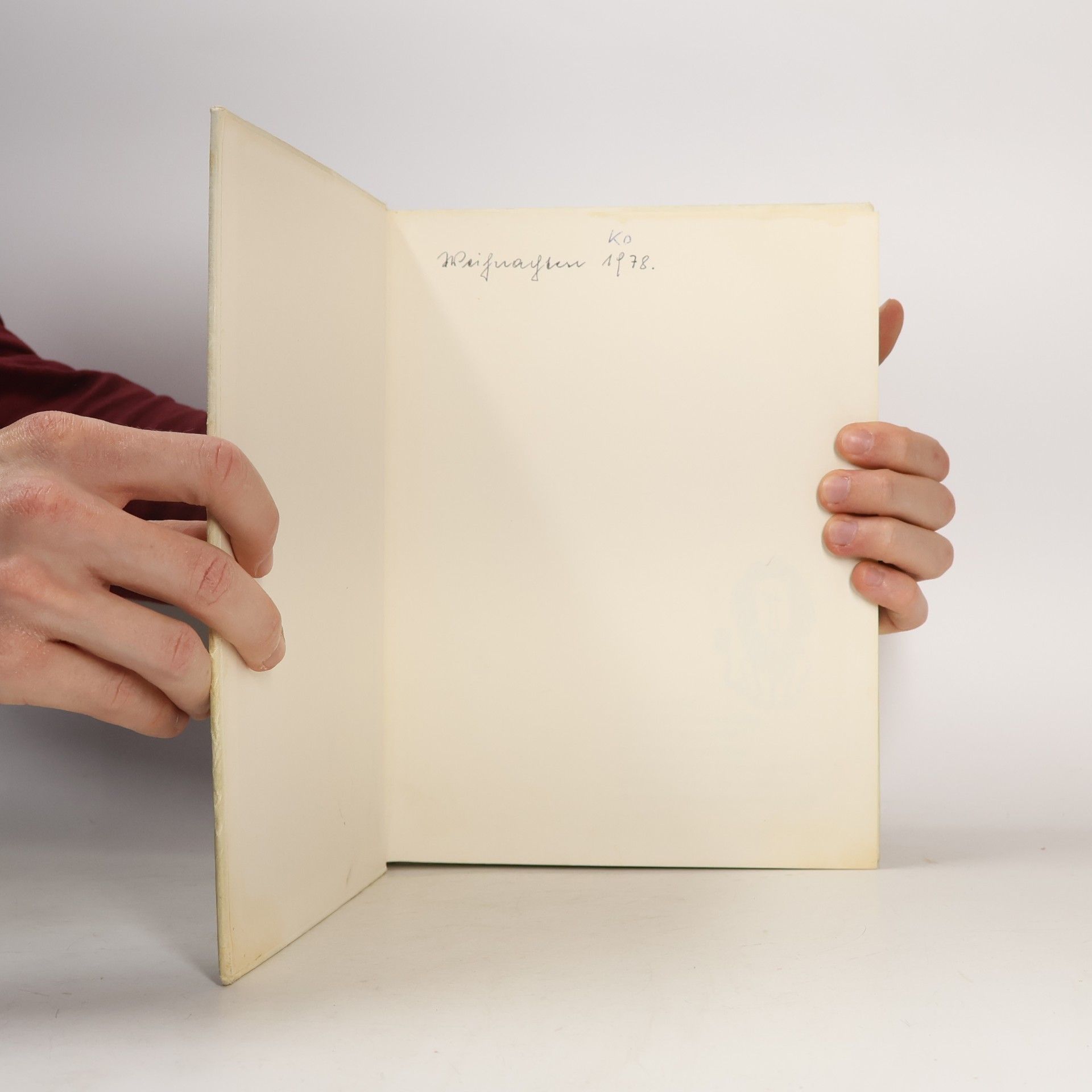 Louise Fatio Das große Buch vom Glücklichen Löwen