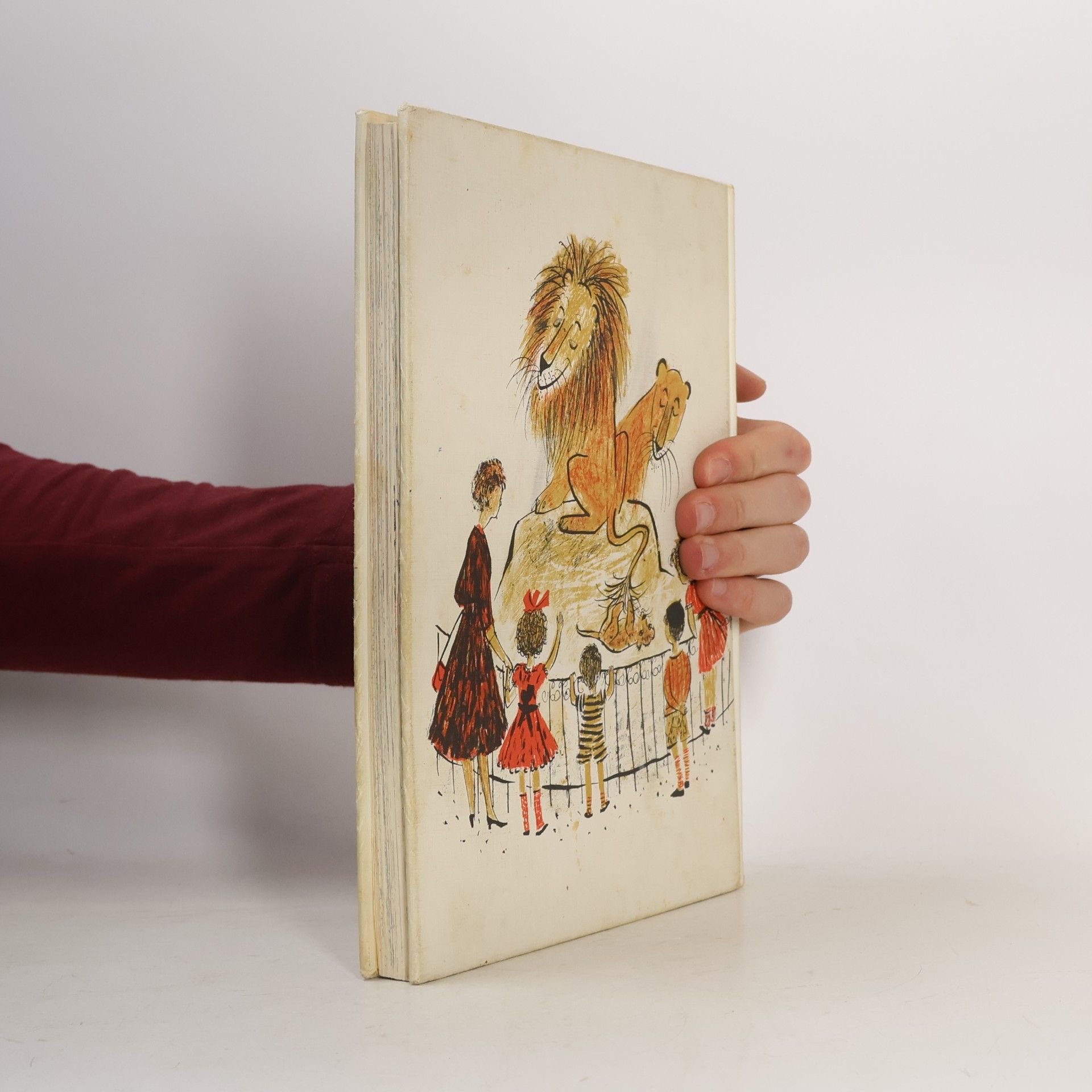 Louise Fatio Das große Buch vom Glücklichen Löwen
