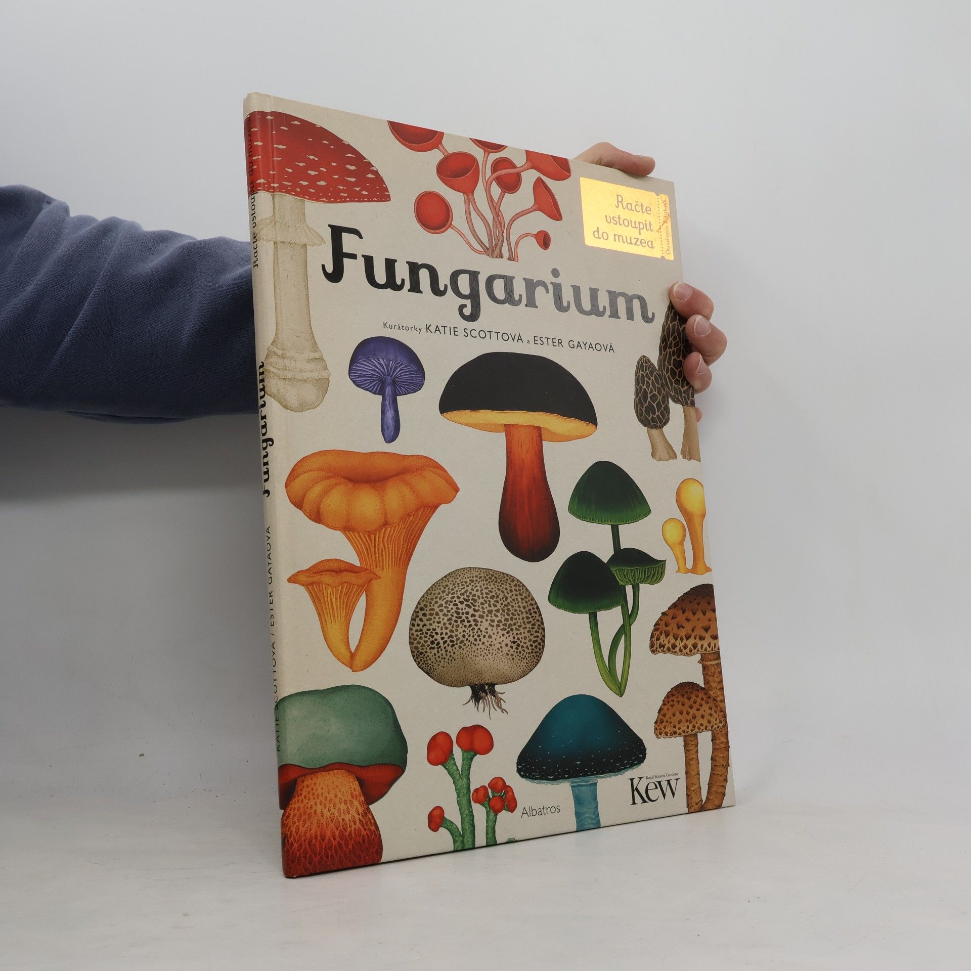 Lily Murray Fungarium