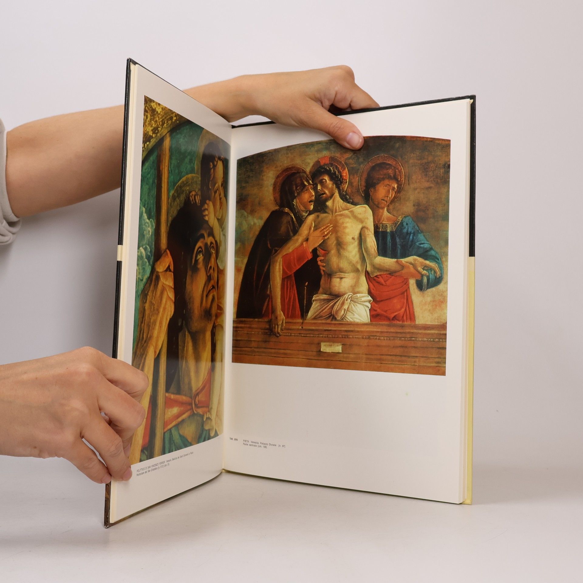 Renato Ghiotto L'Opera Completa di Giovanni Bellini detto Giambellino