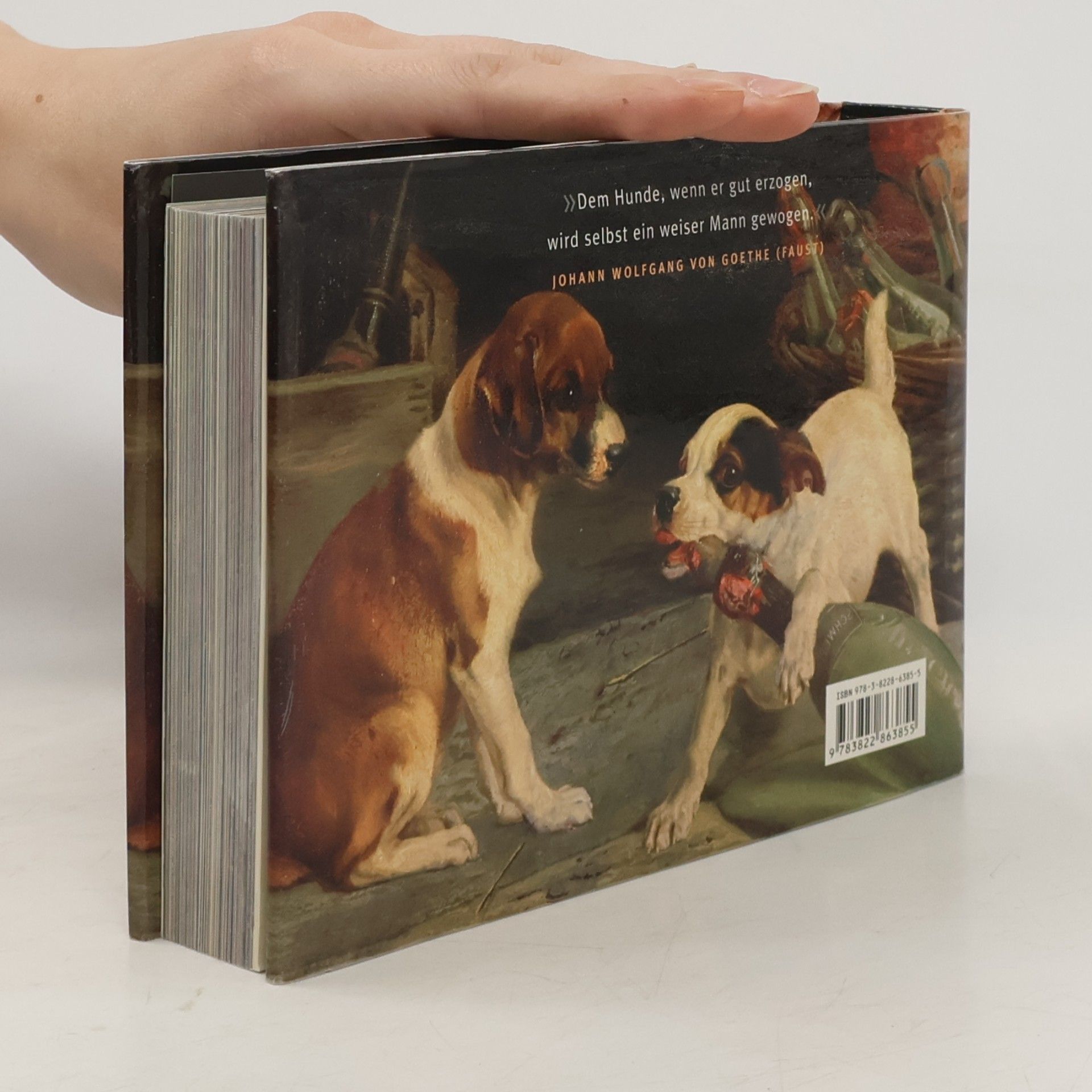 Iain Zaczek Hunde in Kunst, Fotografie und Literatur