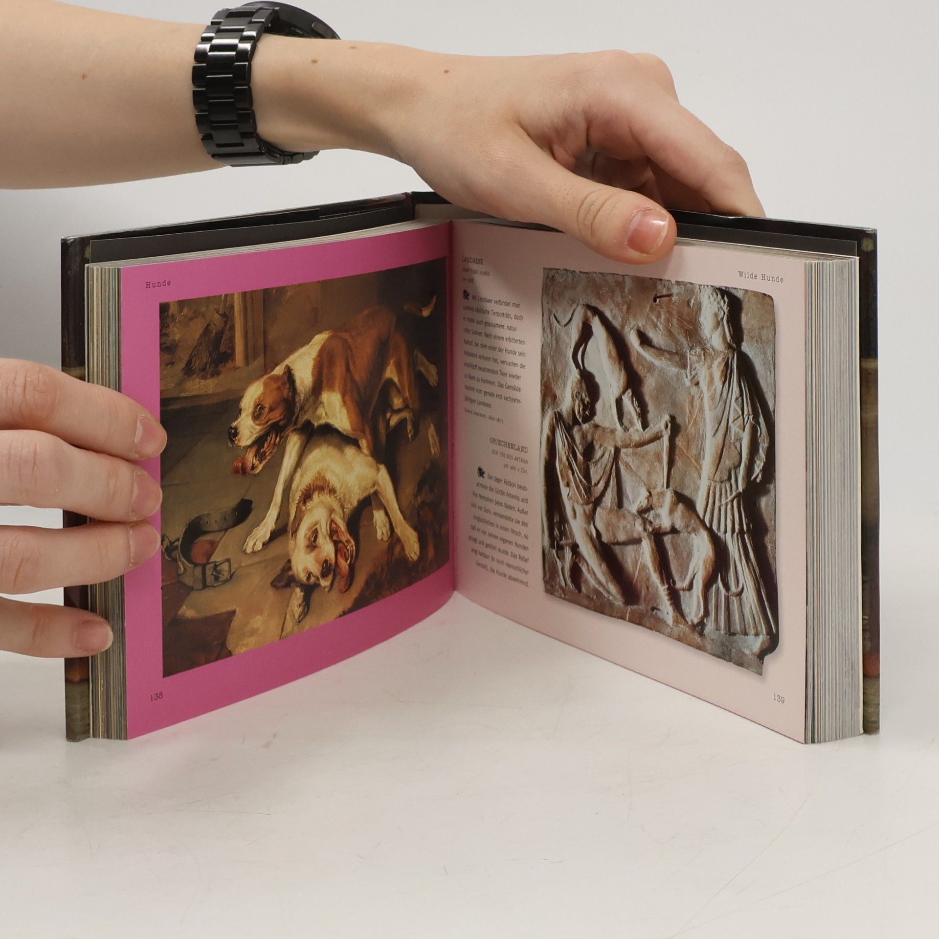 Iain Zaczek Hunde in Kunst, Fotografie und Literatur