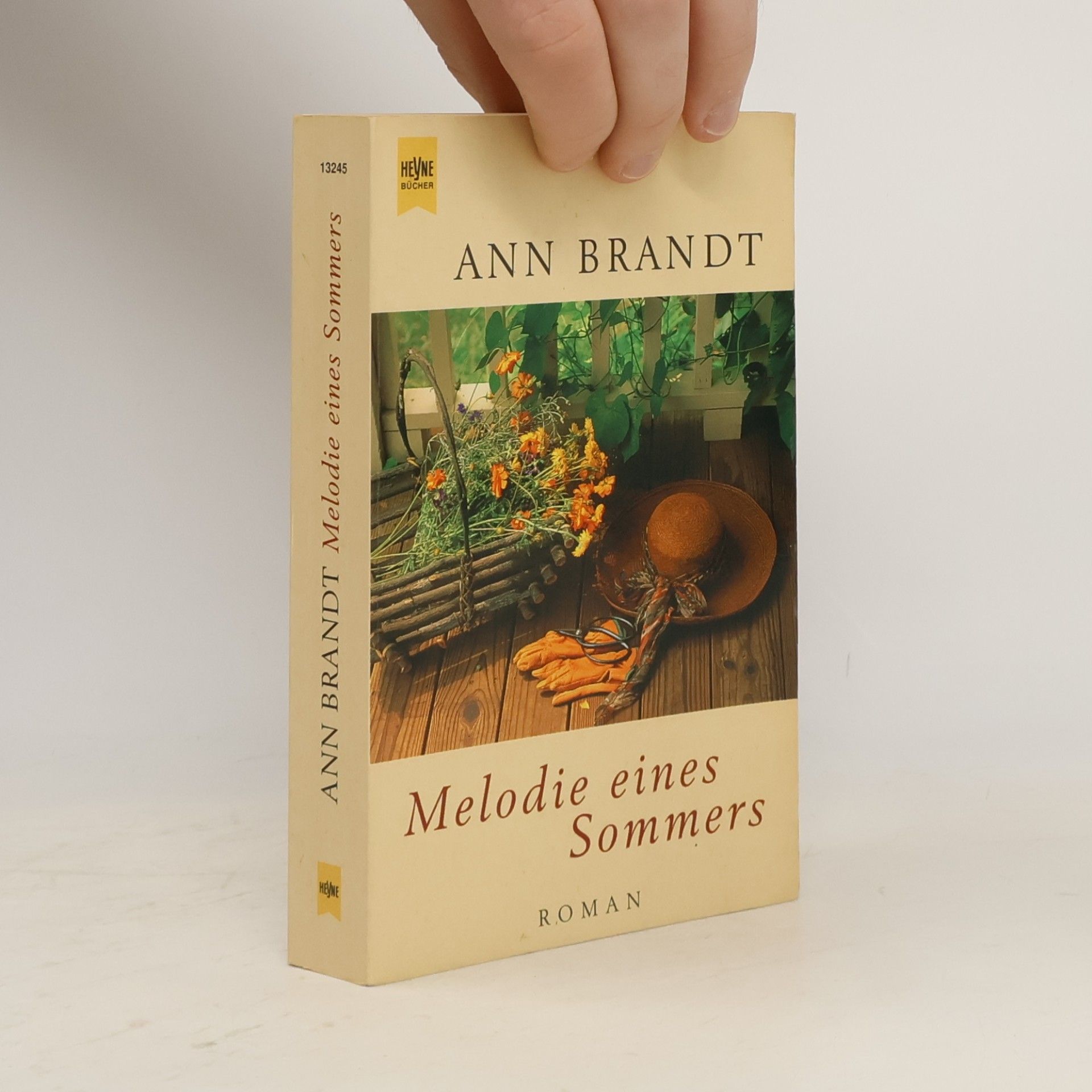 Ann Brandt Melodie eines Sommers