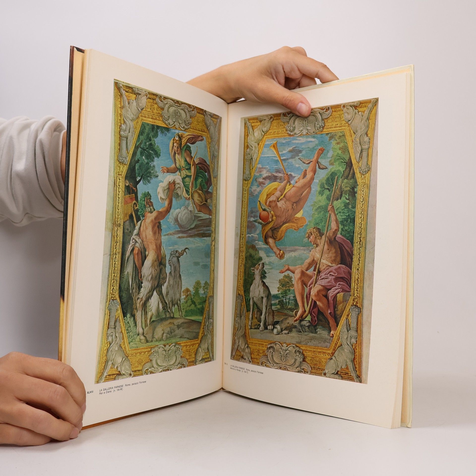 Patrick J. Cooney L'opera completa di Annibale Carracci
