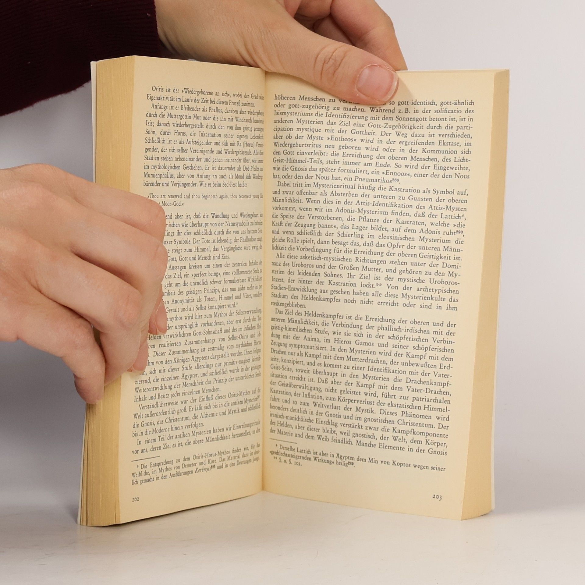 Erich Neumann Ursprungsgeschichte des Bewusstseins