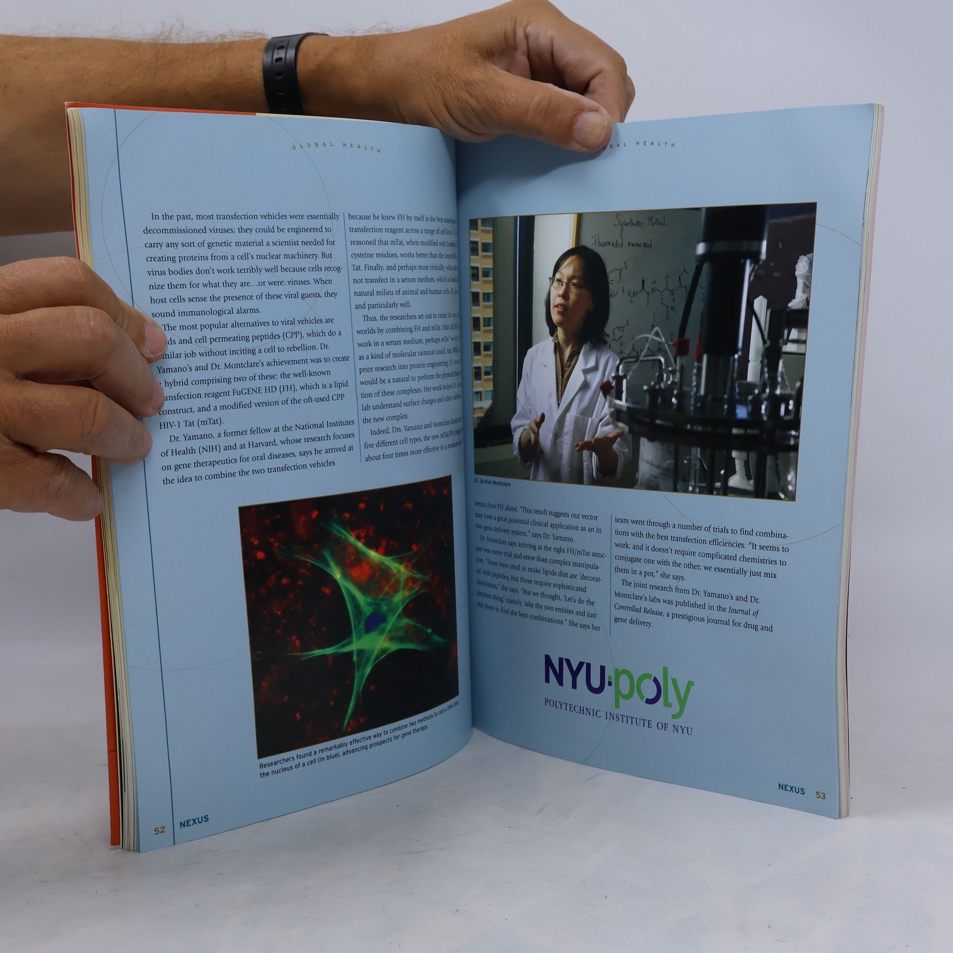 Kolektiv autorů Global Health Nexus