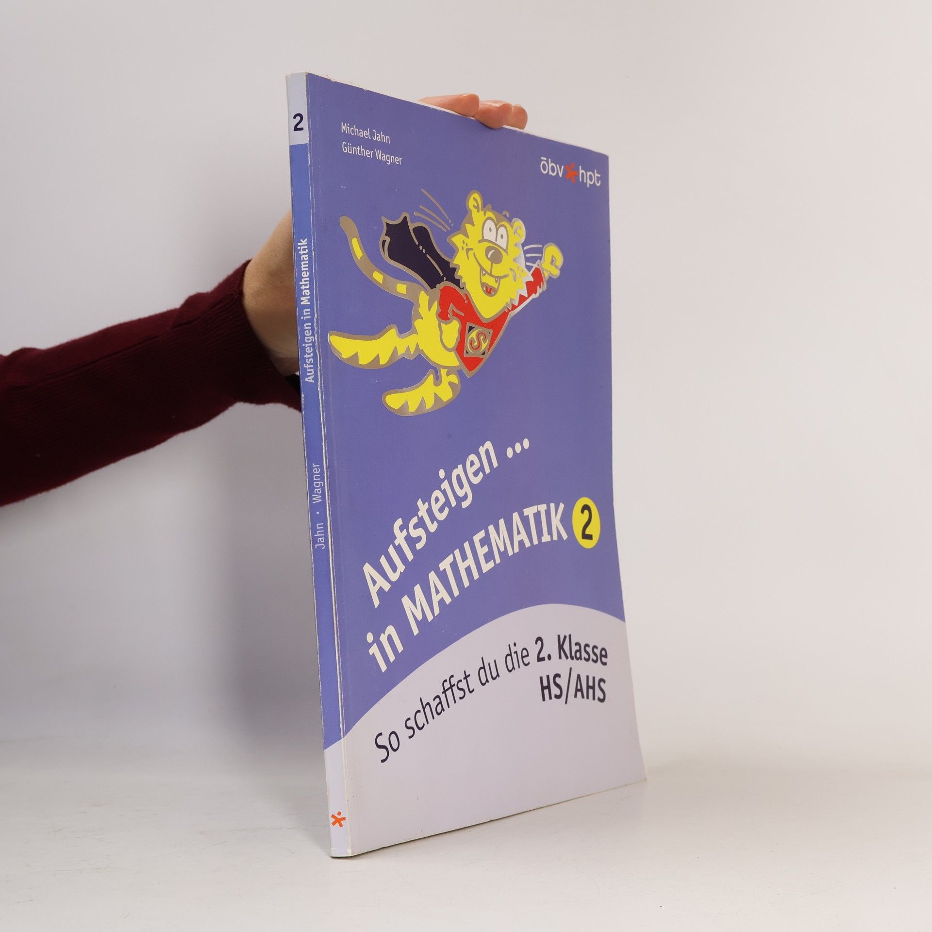Werner Totzauer Aufsteigen in Mathematik
