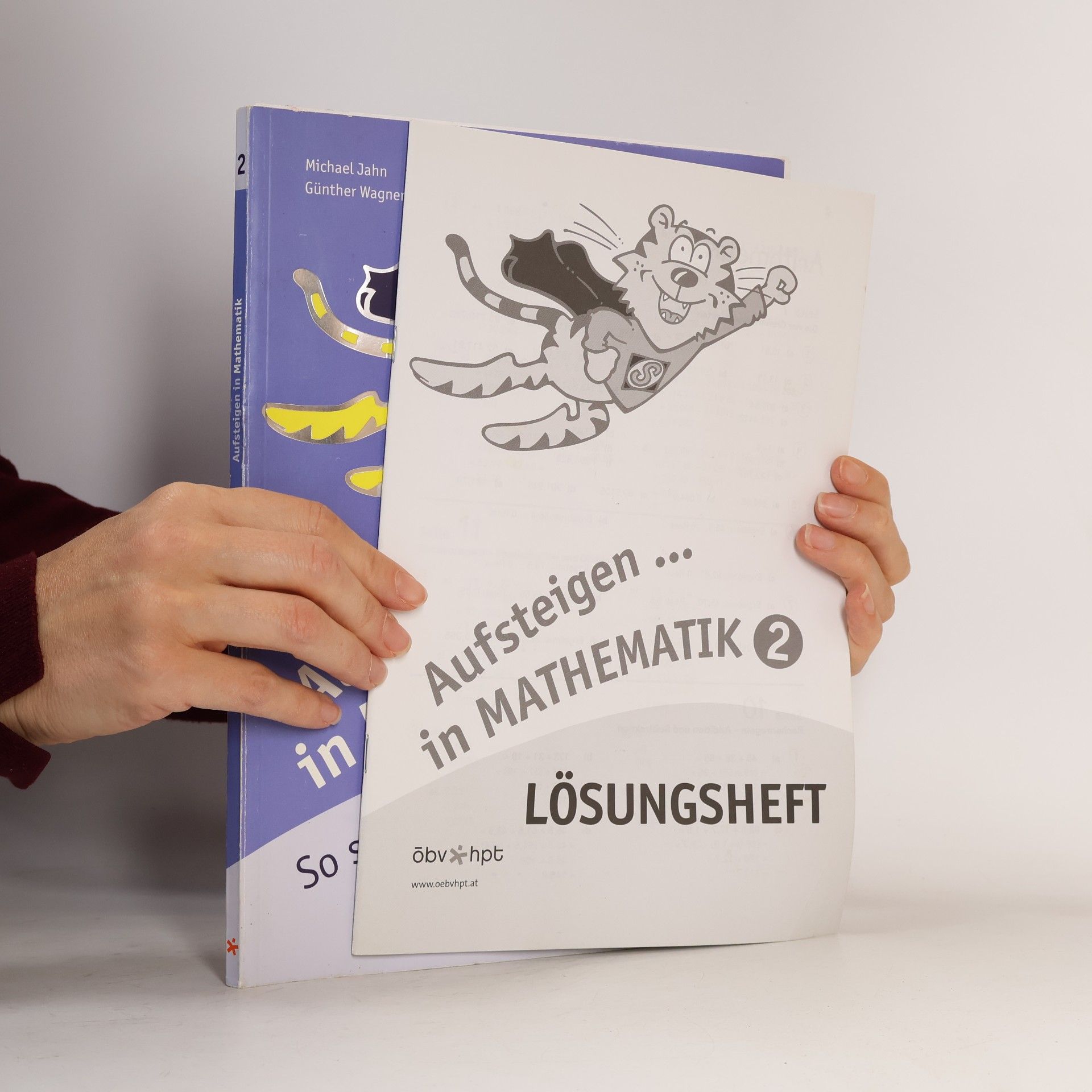 Michael Jahn Aufsteigen in Mathematik