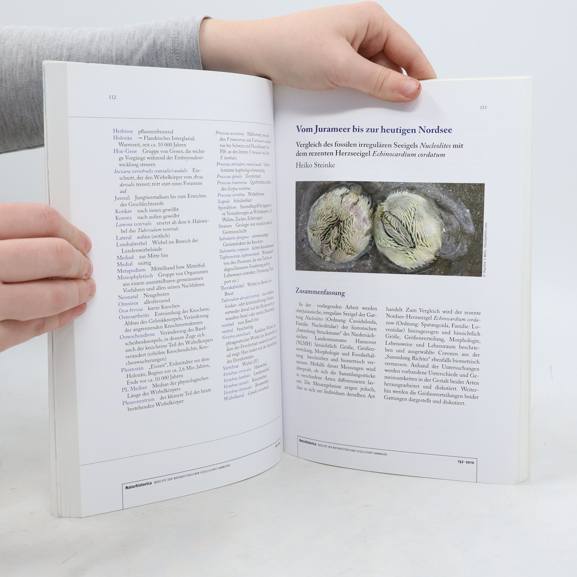 kolektiv Naturhistorica: Rätselhafte Grottenkrebse