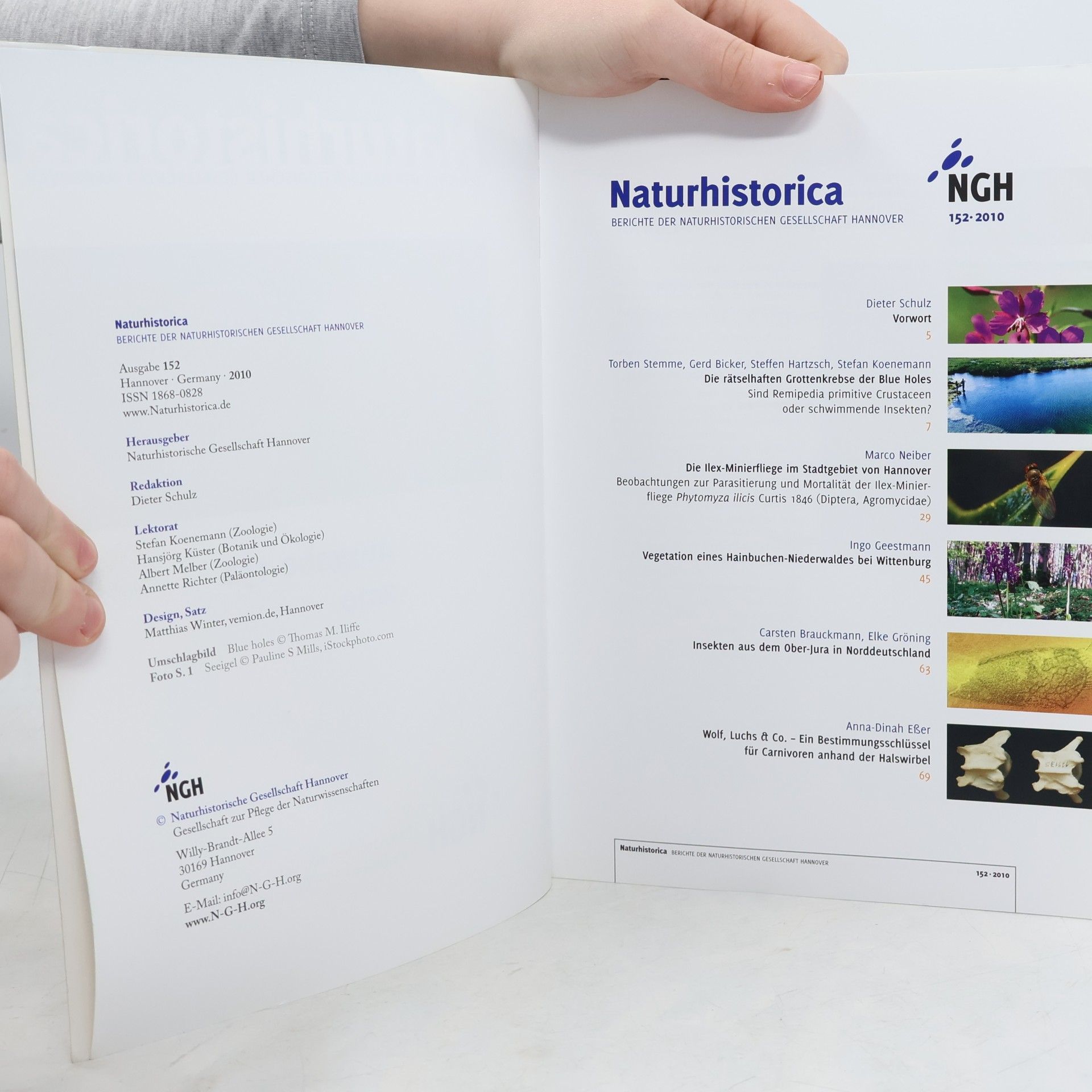 kolektiv Naturhistorica: Rätselhafte Grottenkrebse