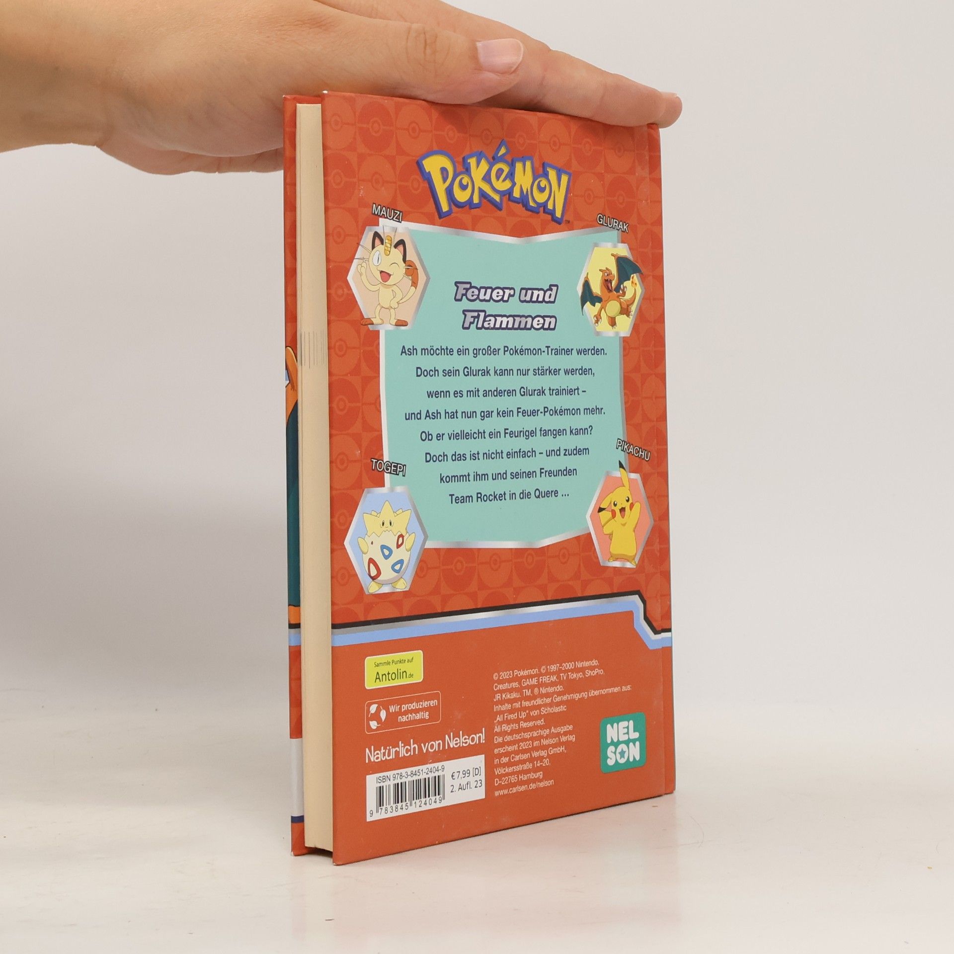 Autorenkollektiv Pokémon. Feuer und Flammen
