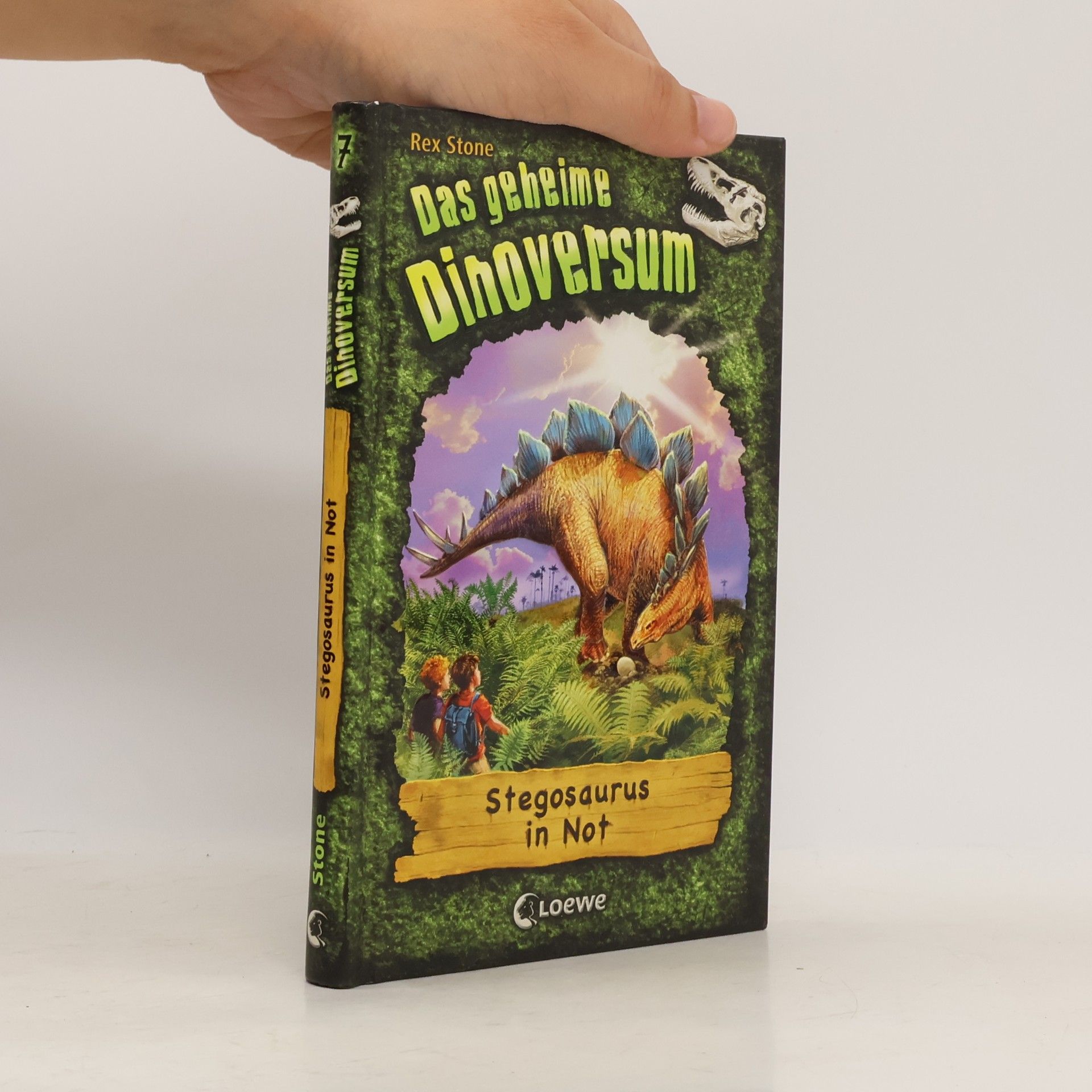 Hayley Daze Das geheime Dinoversum - Stegosaurus in Not