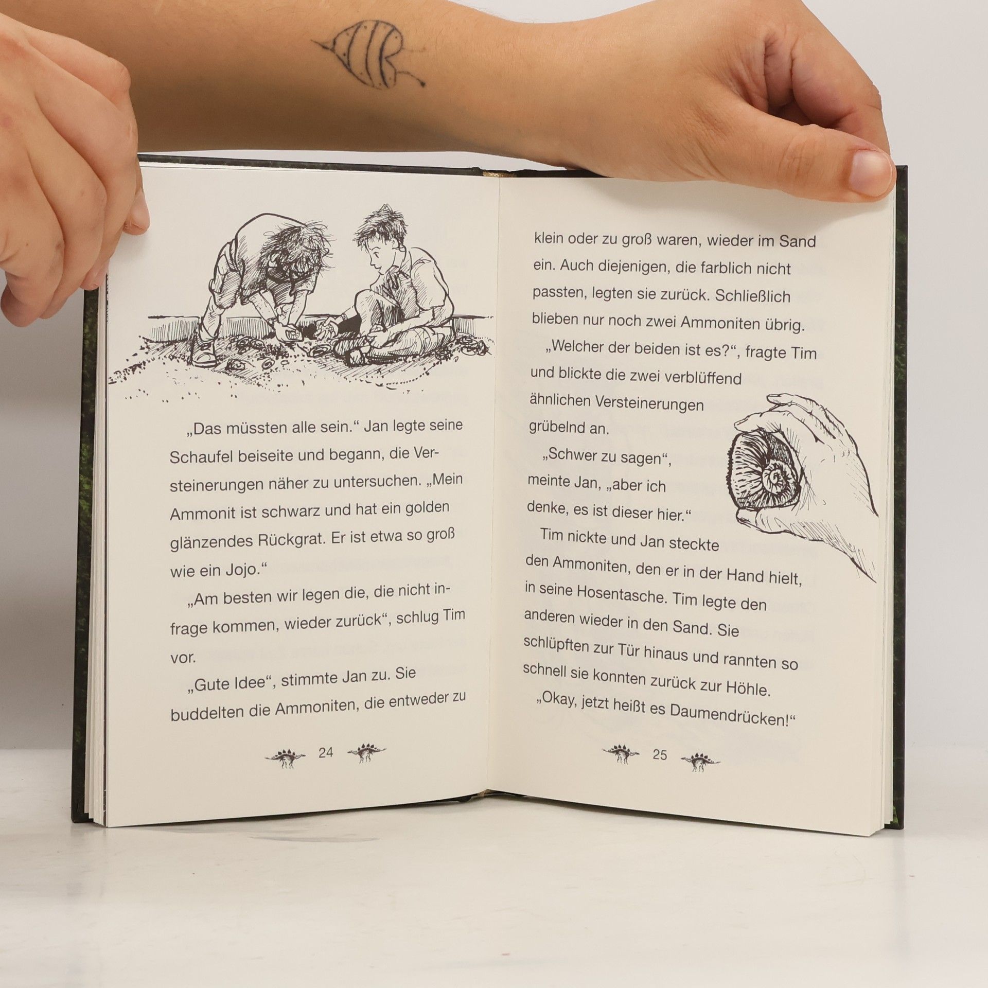 Hayley Daze Das geheime Dinoversum - Stegosaurus in Not