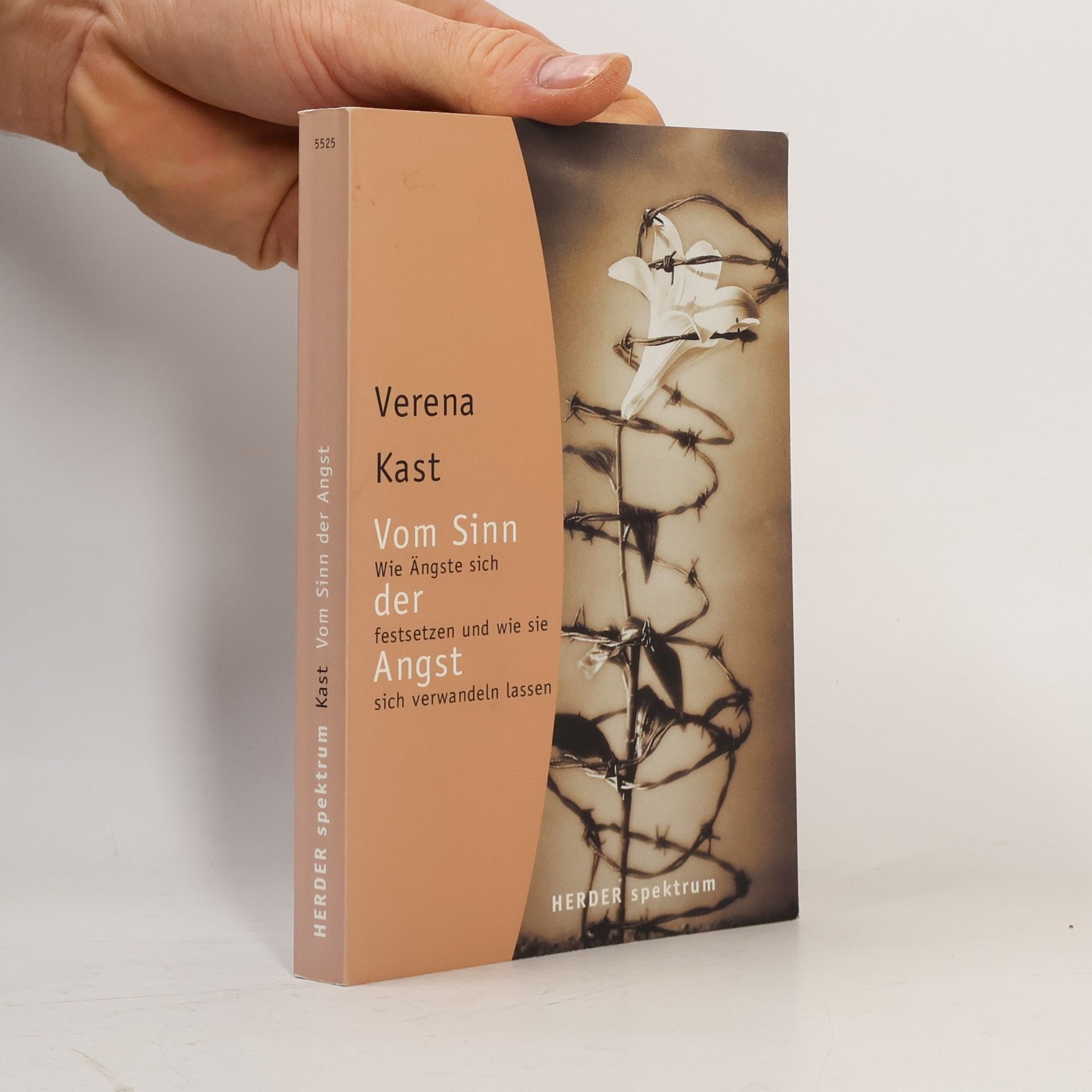 Verena Kast Vom Sinn der Angst