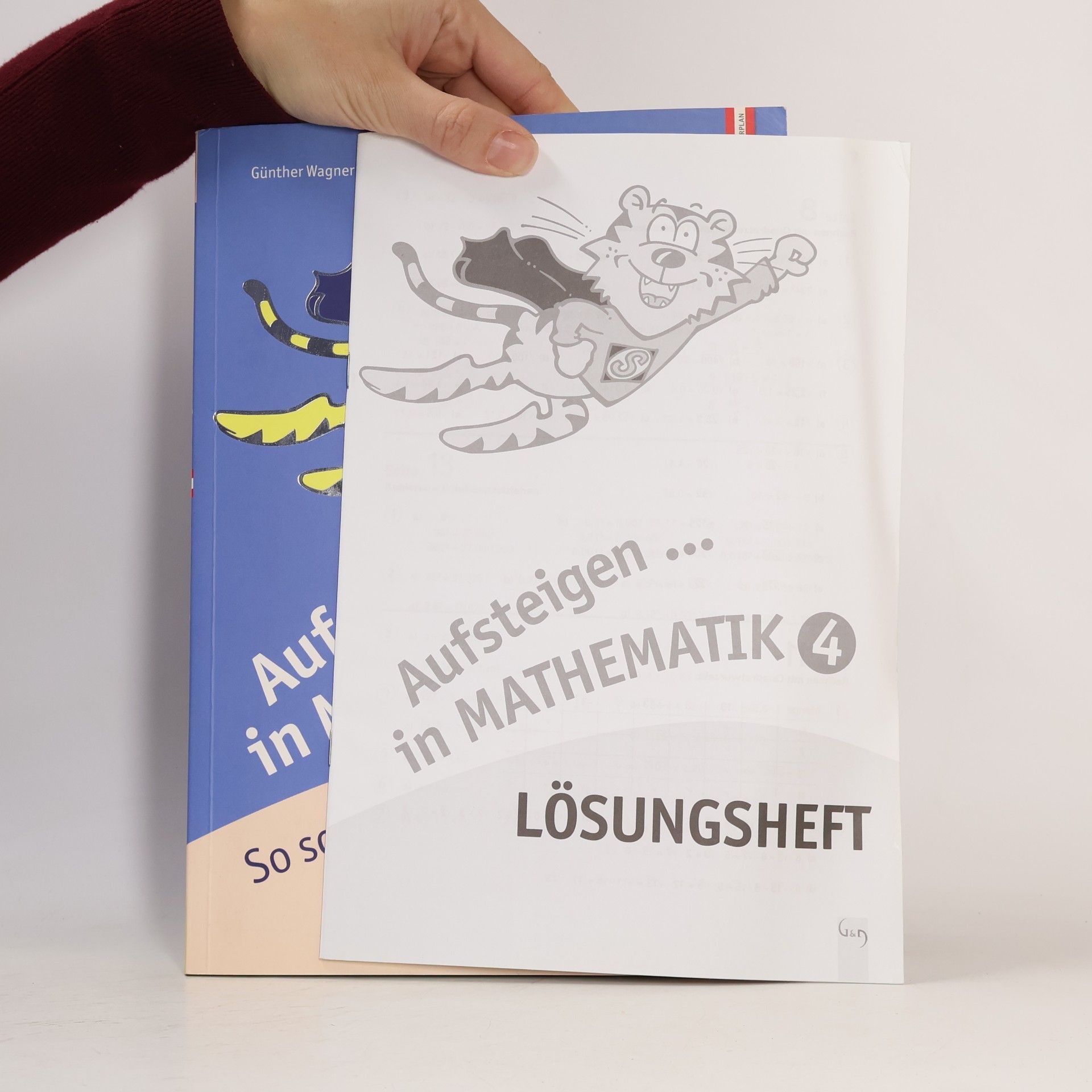 Günther Wagner Aufsteigen in Mathematik 4
