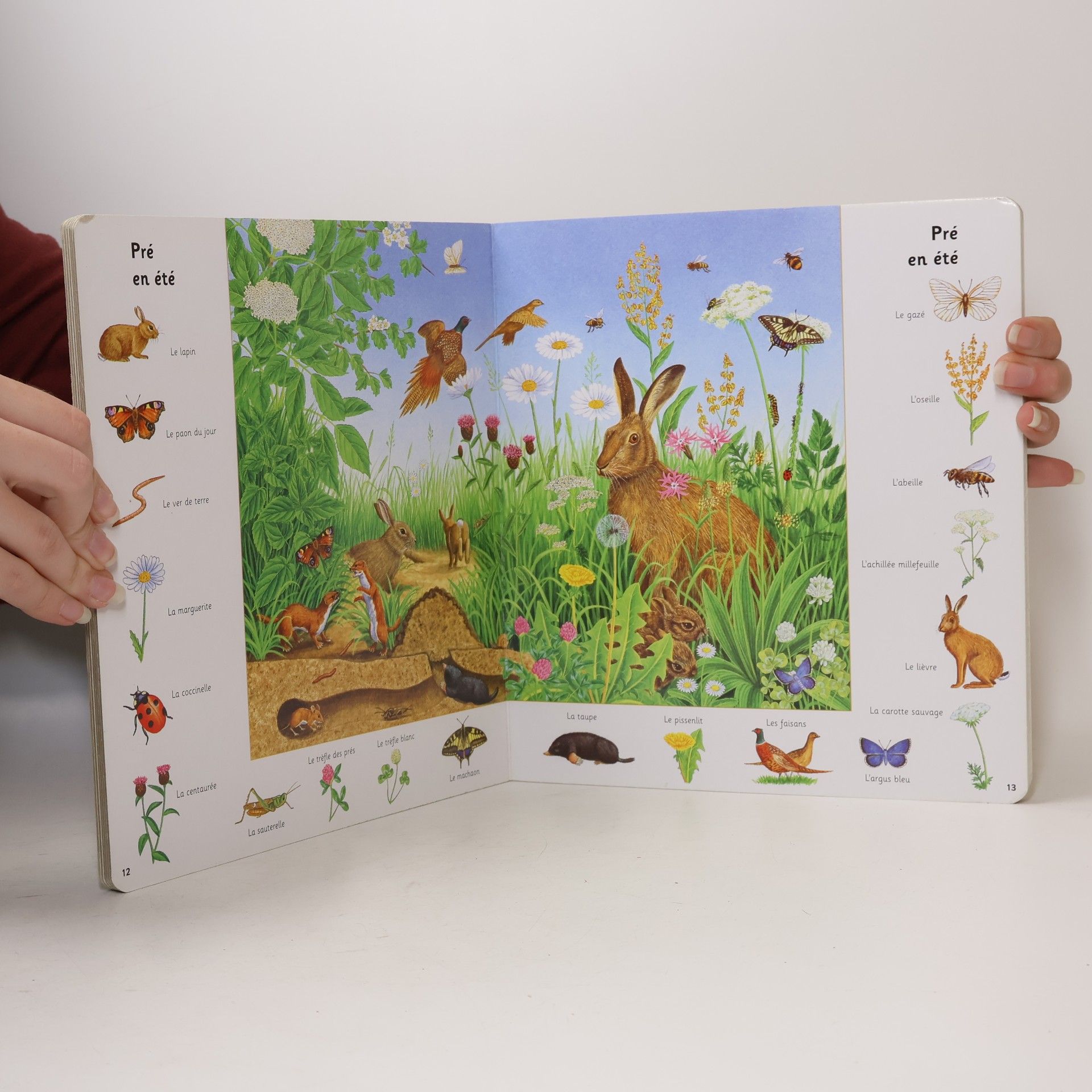 kolektiv Mon imagier coloré des animaux