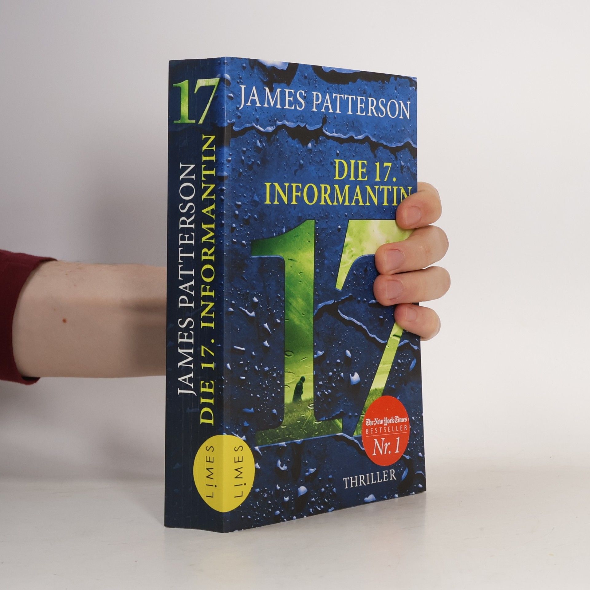 Die 17. Informantin