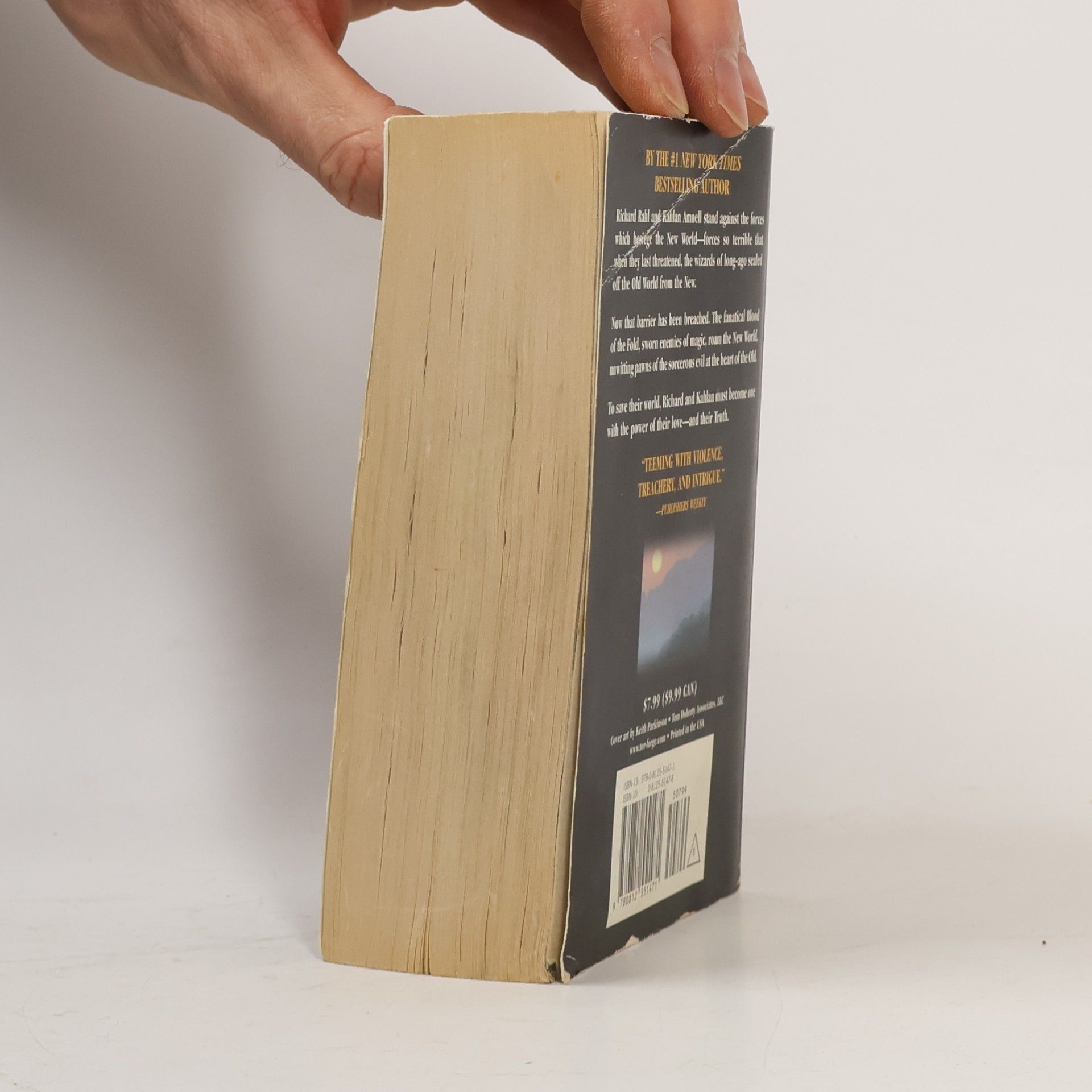 Terry Goodkind Blood of the Fold