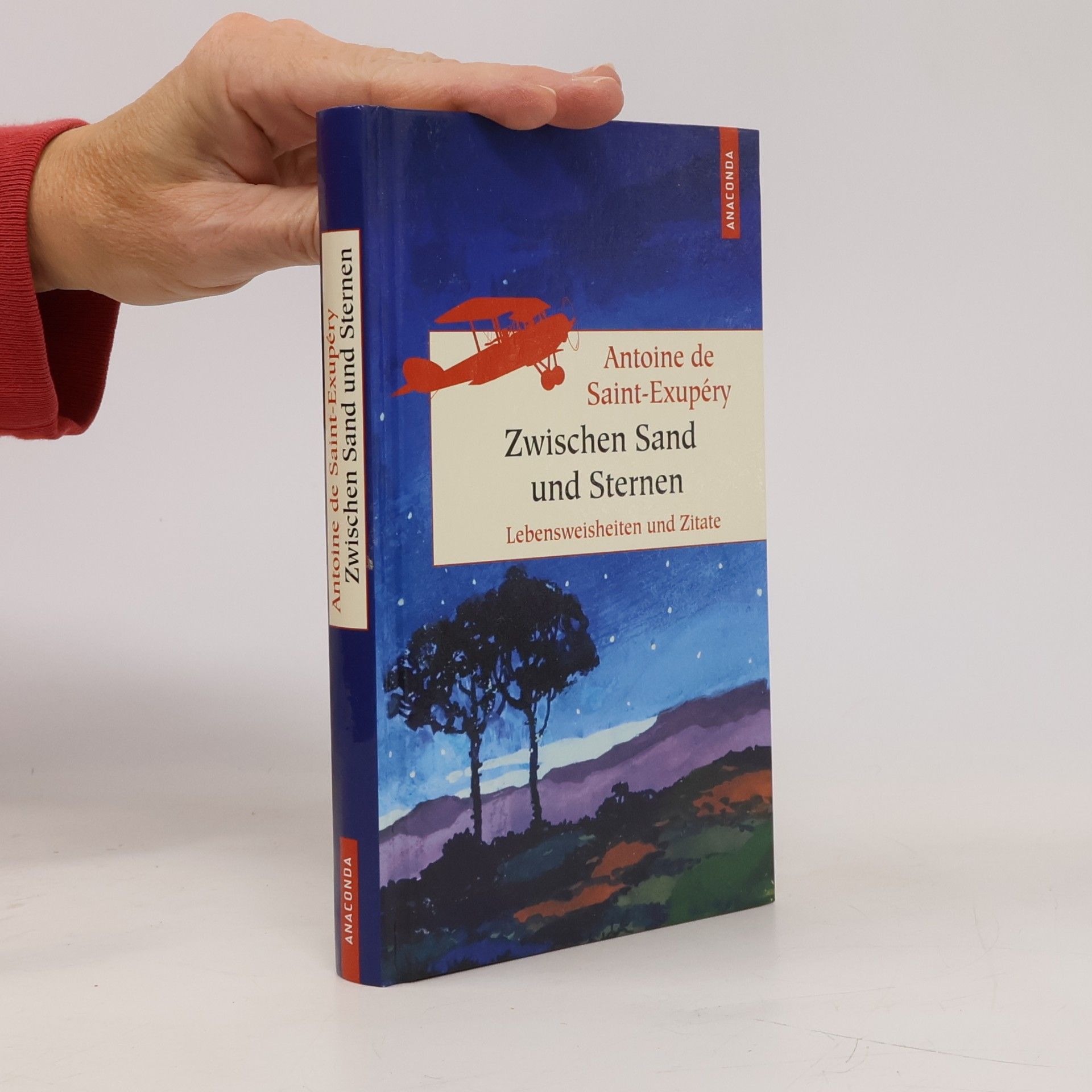 Antoine de Saint-Exupéry Zwischen Sand und Sternen