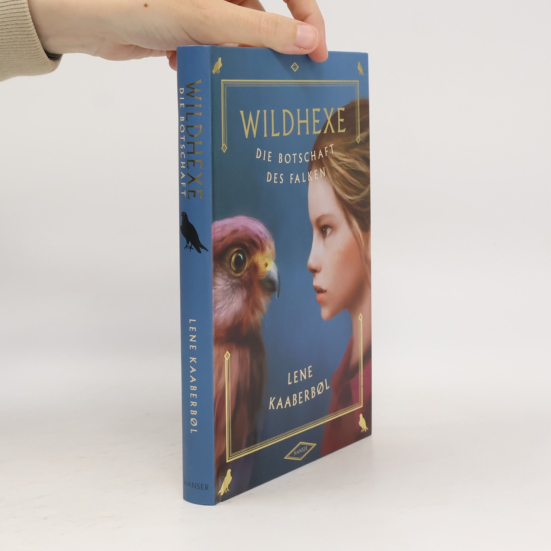 Wildhexe. Die Botschaft des Falken