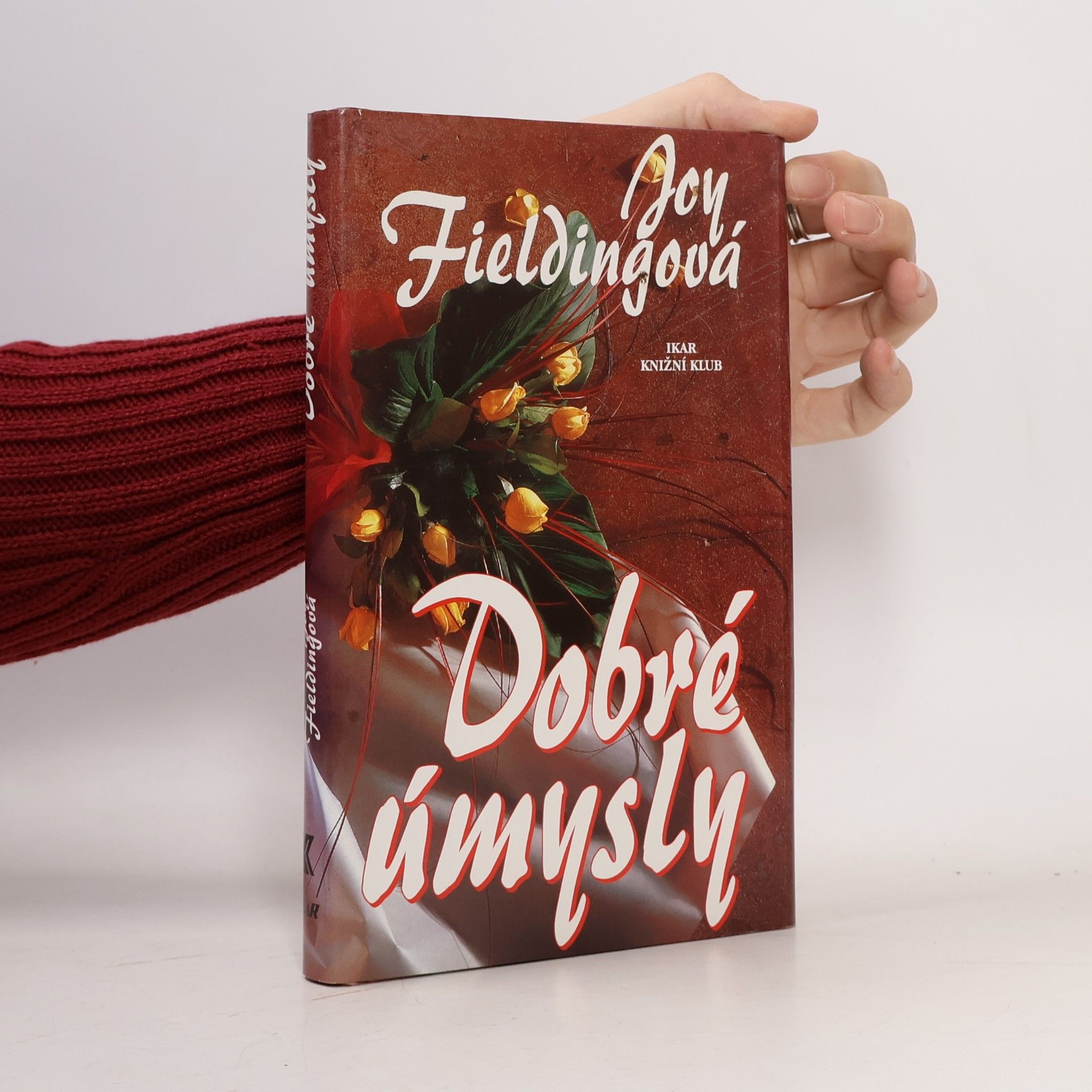 Joy Fielding Dobré úmysly