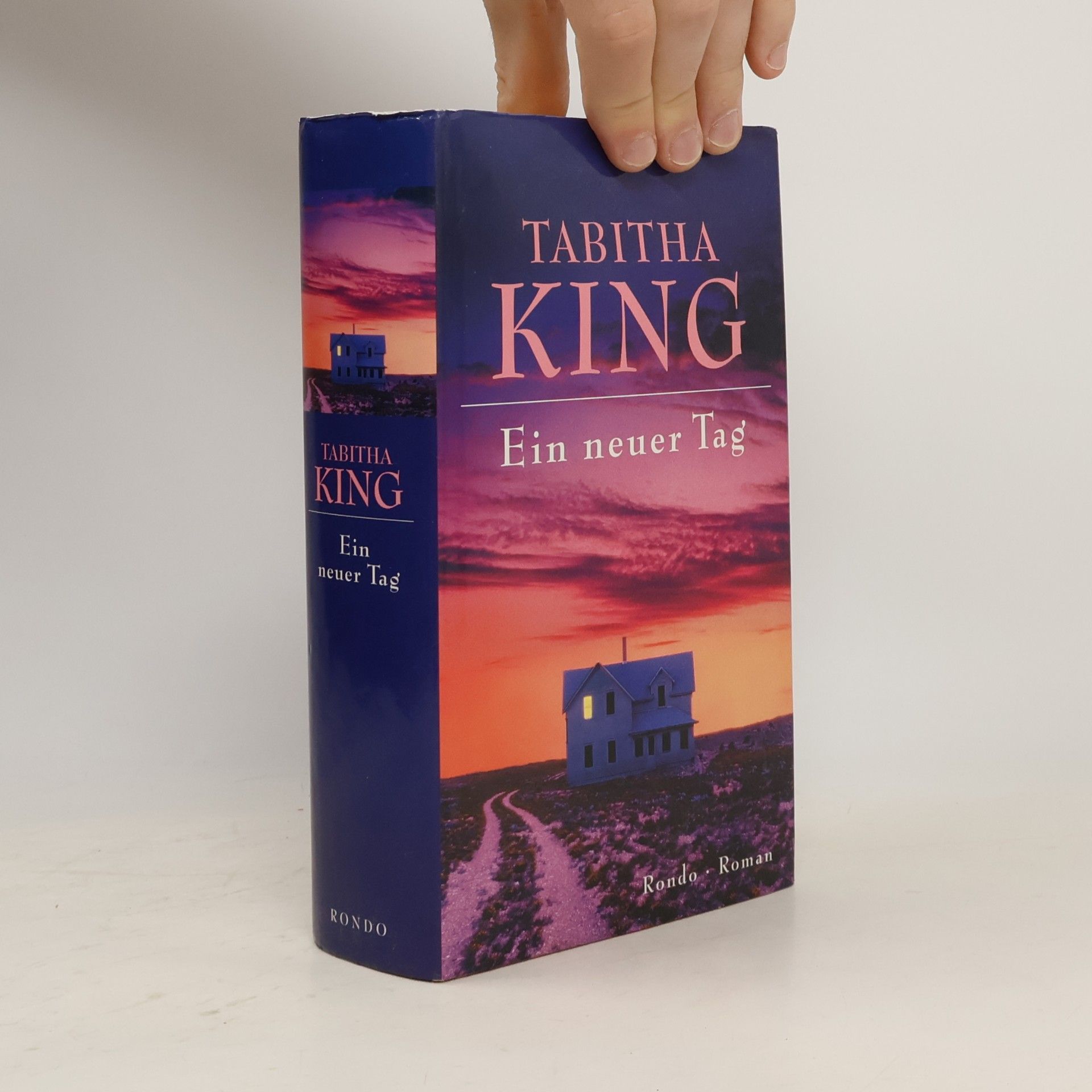 Tabitha King Ein neuer Tag