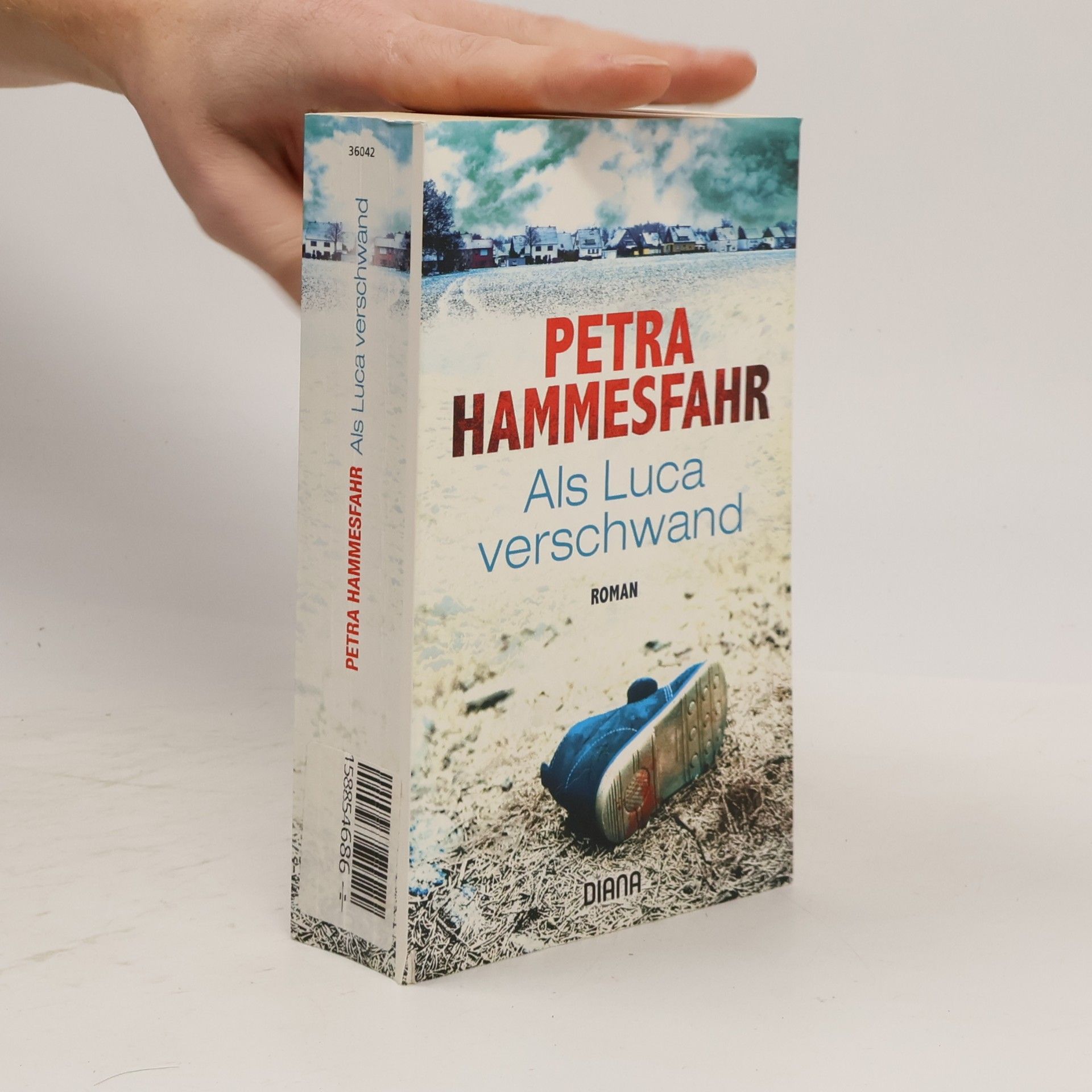 Petra Hammesfahr Als Luca verschwand
