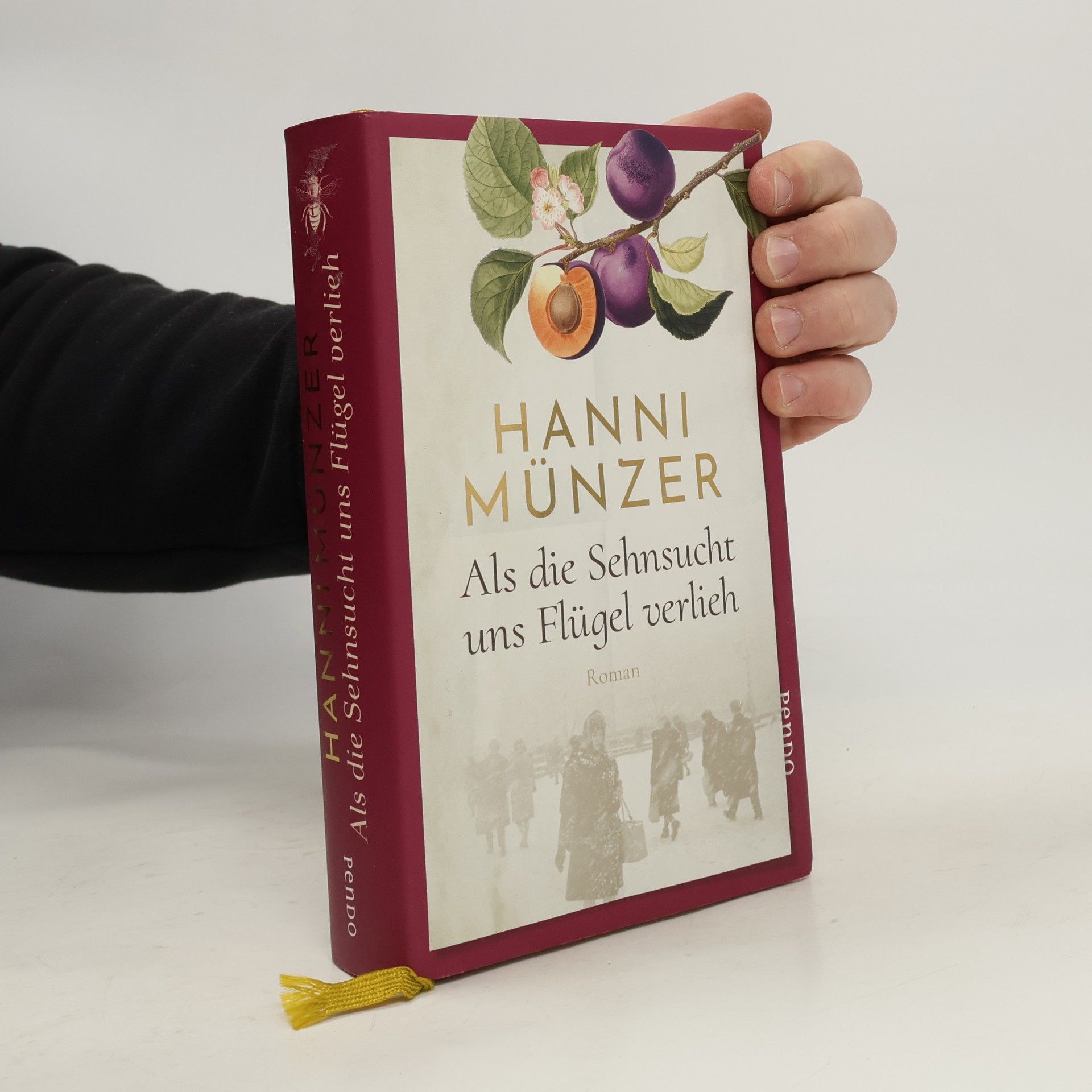 Hanni Münzer Als die Sehnsucht uns Flügel verlieh