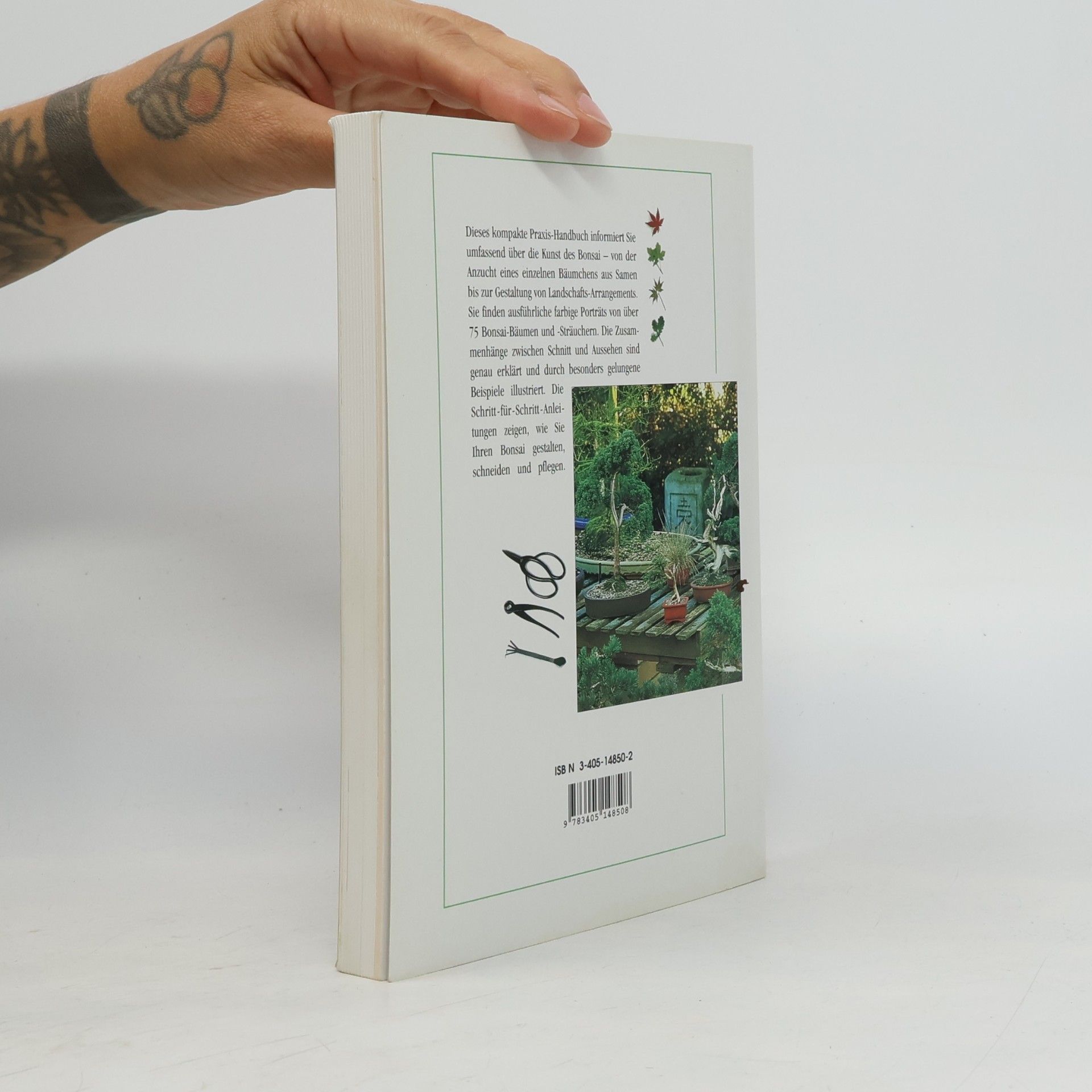 Harry Tomlinson Das BLV-Bonsai-Handbuch