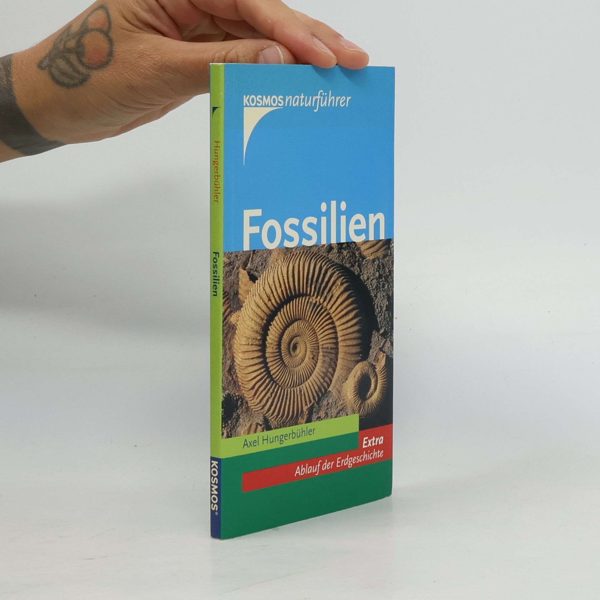 Axel Hungerbühler Fossilien
