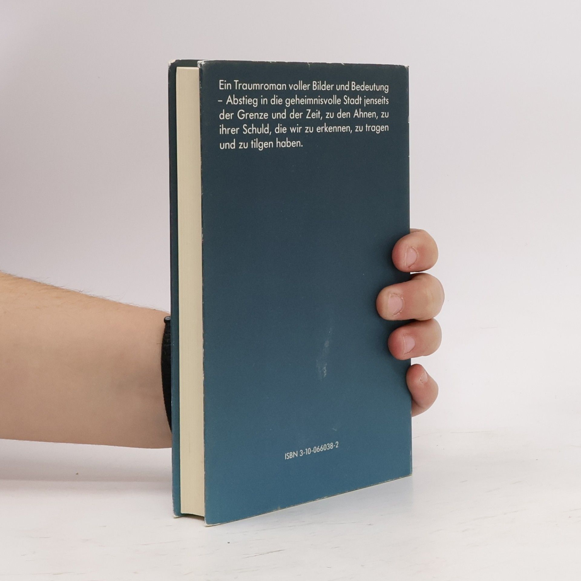 Luise Rinser Silberschuld