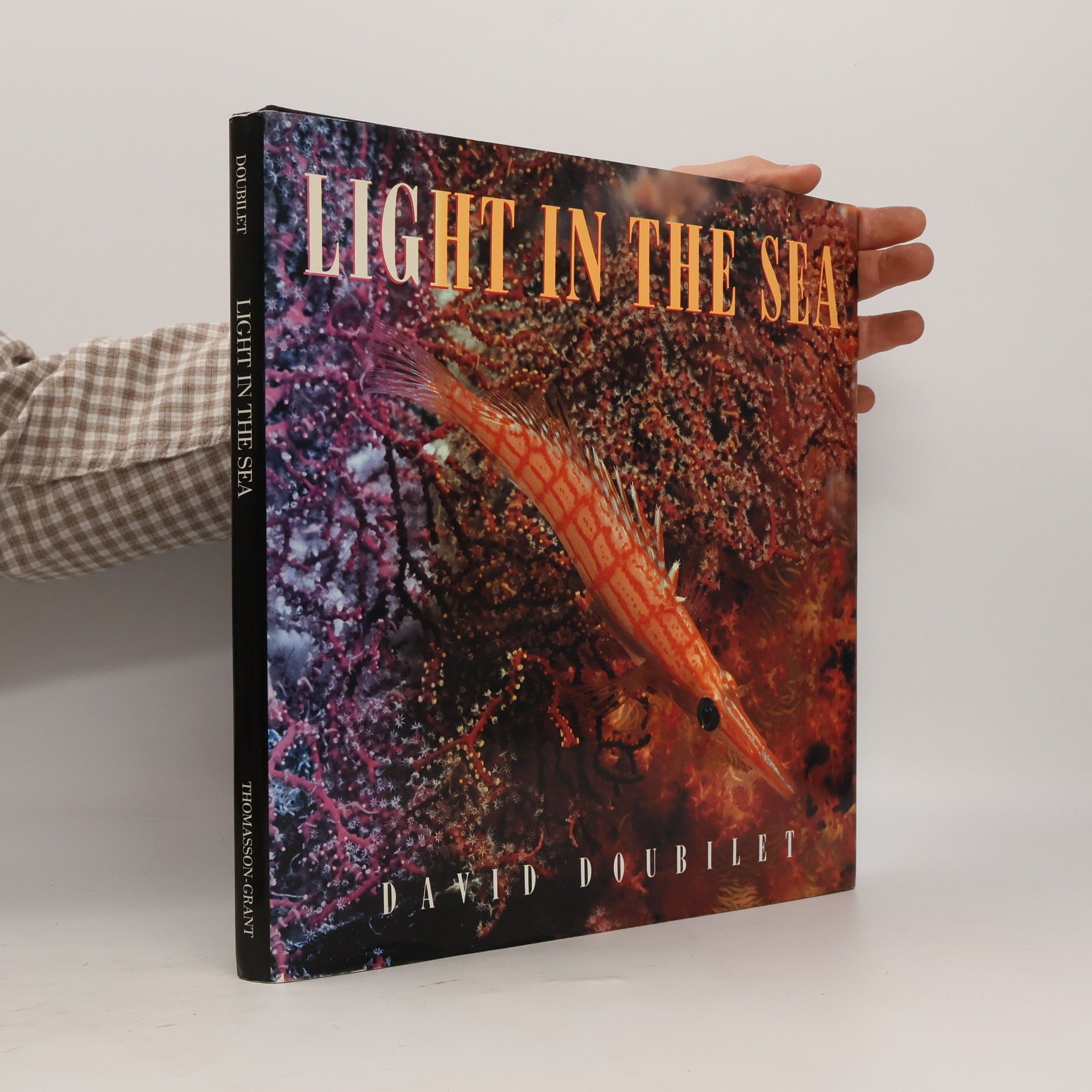 David Doubilet Light in the Sea