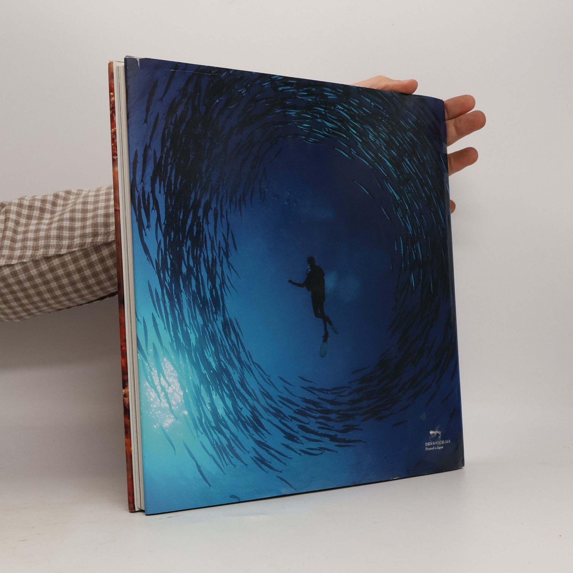 David Doubilet Light in the Sea