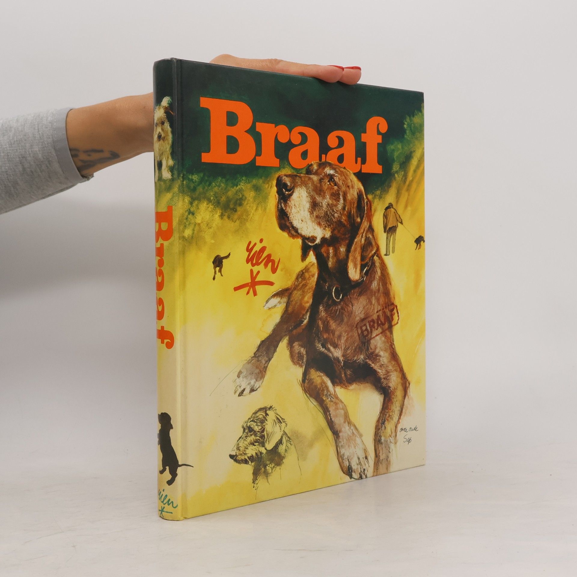 Braaf