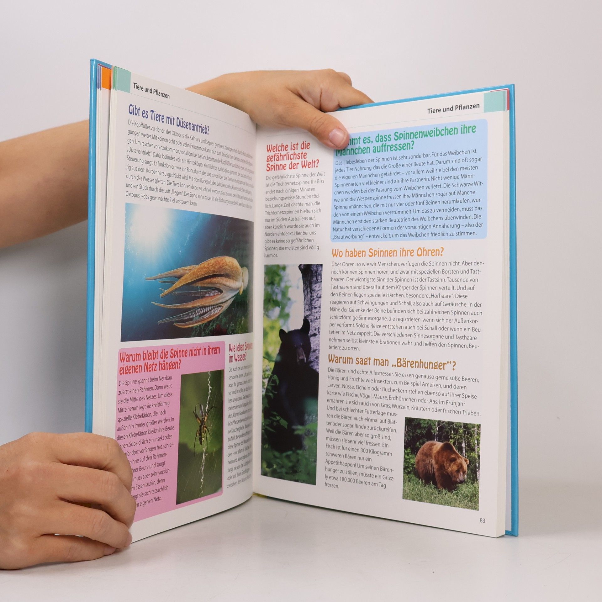 kolektiv Das große Buch der neuen 555 Kinderfragen