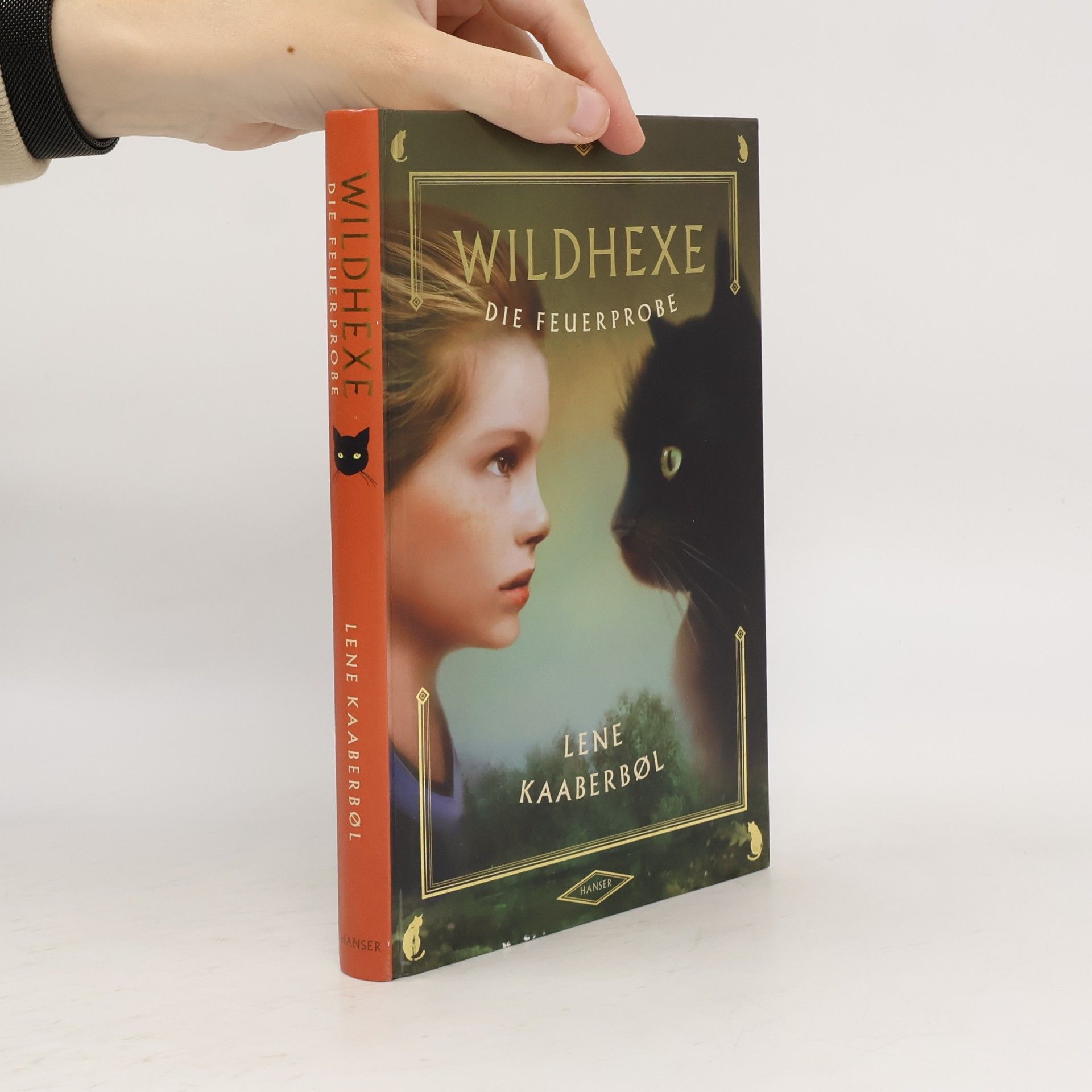Lene Kaaberbøl Wildhexe die Feuerprobe