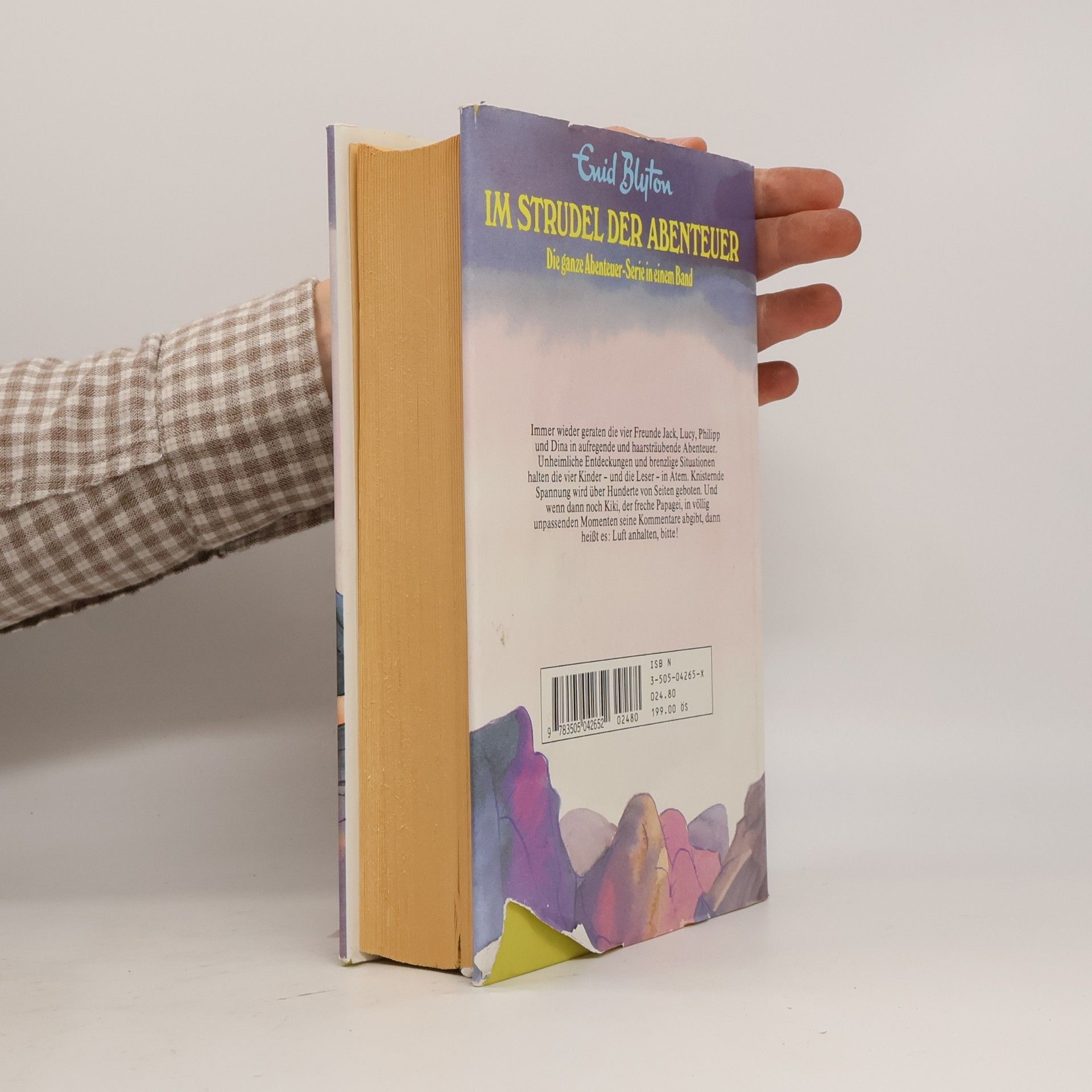 Enid Blyton Im Strudel der Abenteuer
