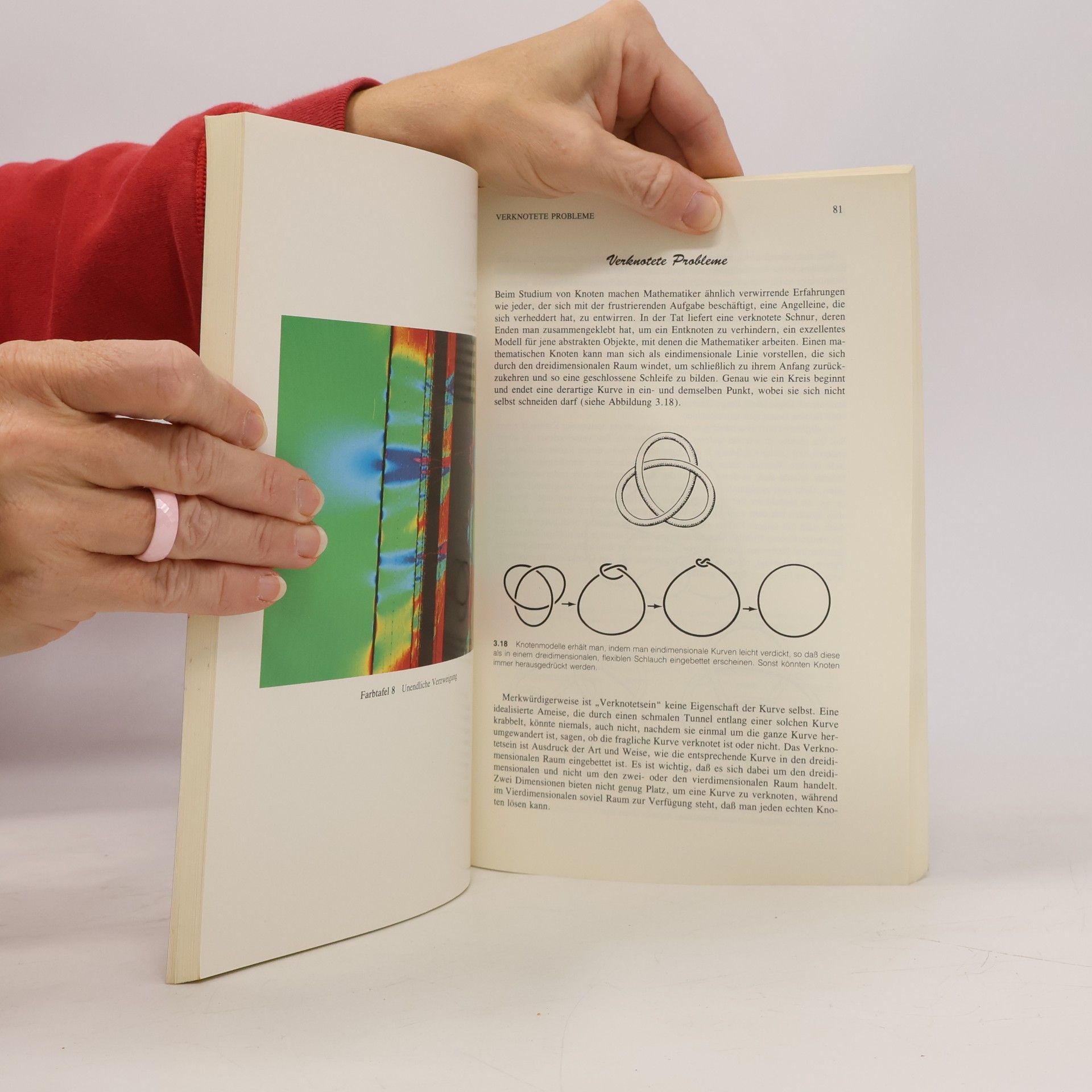 Ivars Peterson Mathematische Expeditionen