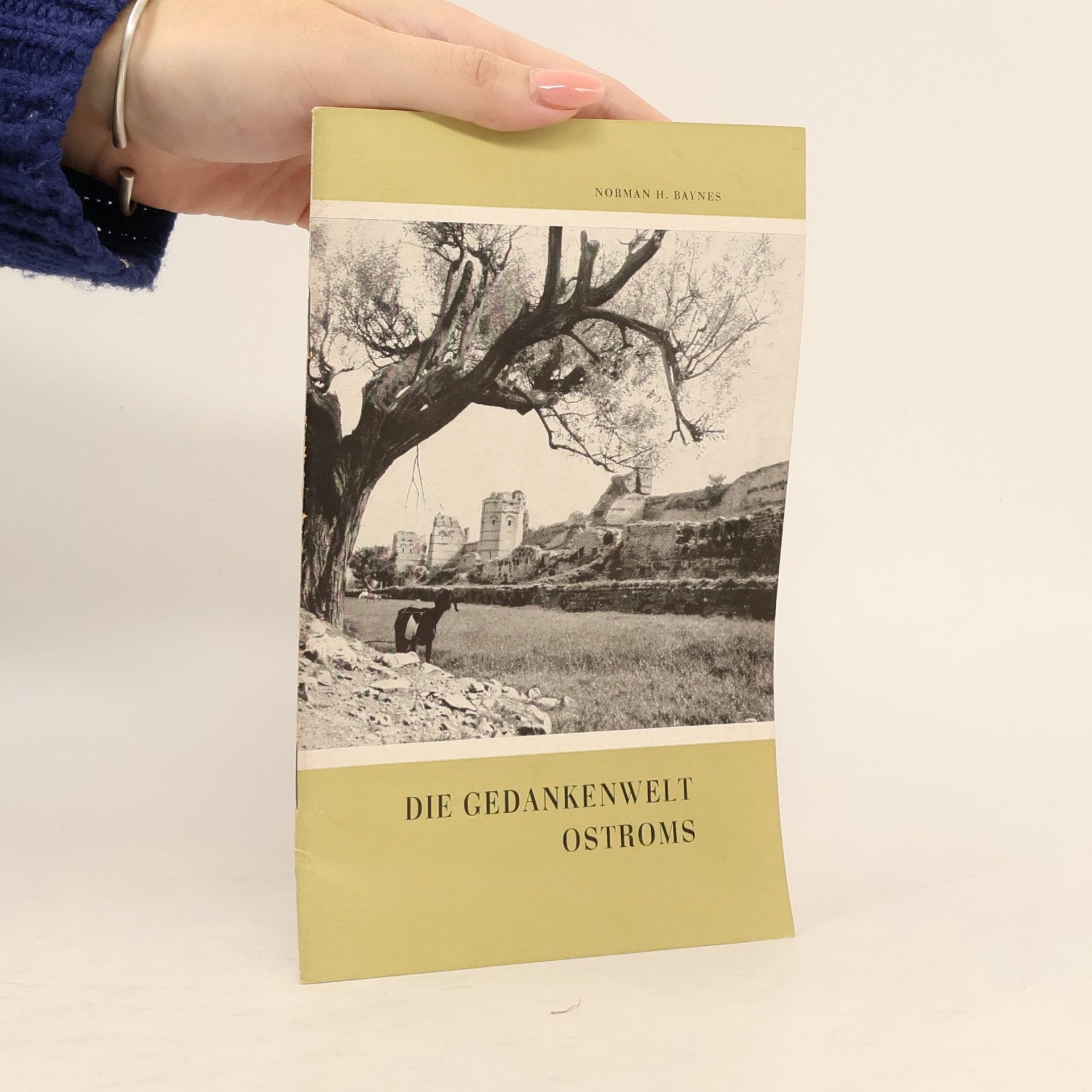 Die gedankenwelt ostroms