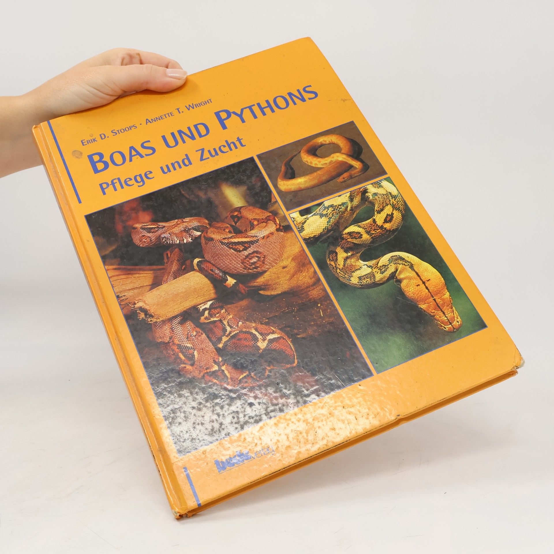 Erik D. Stoops Boas & Pythons