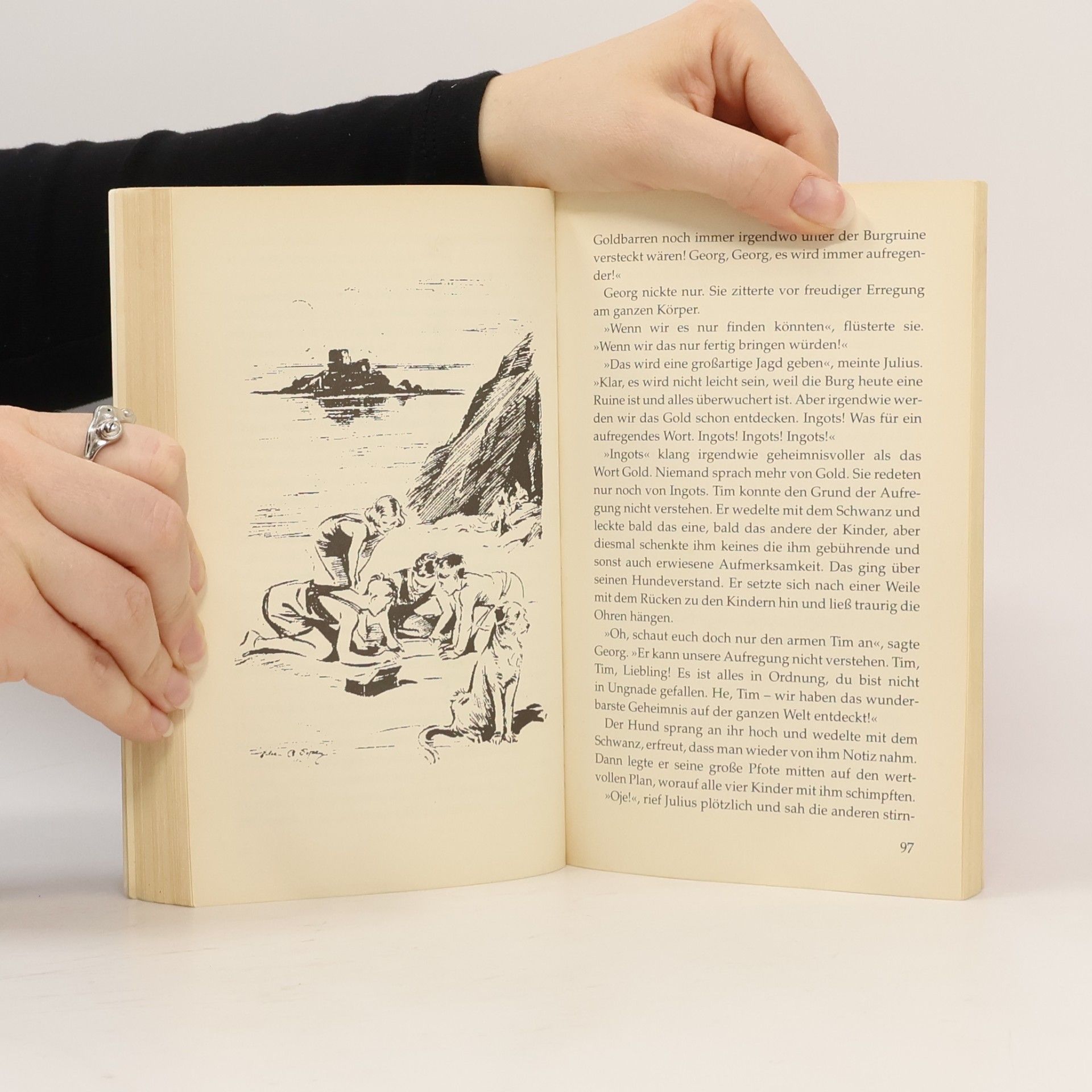 Enid Blyton Fünf Freunde erforschen die Schatzinsel